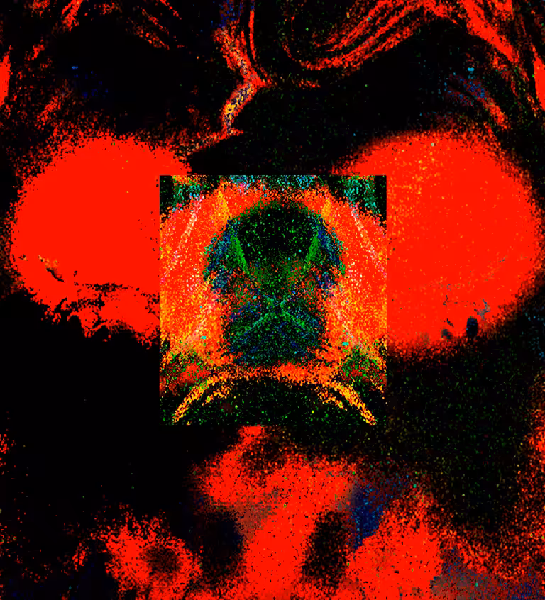 el diablo I