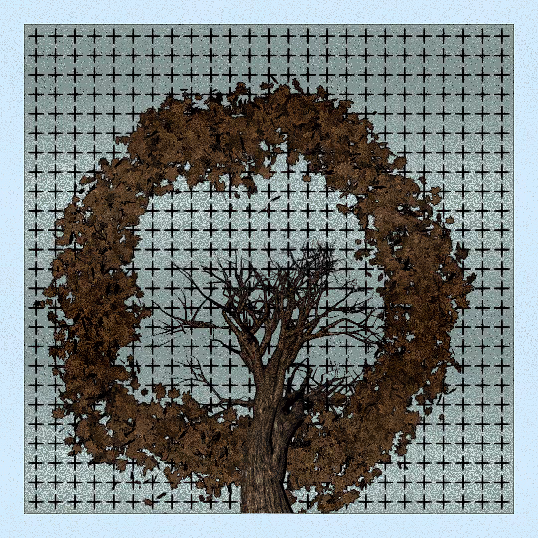 _argania[primaria] #112