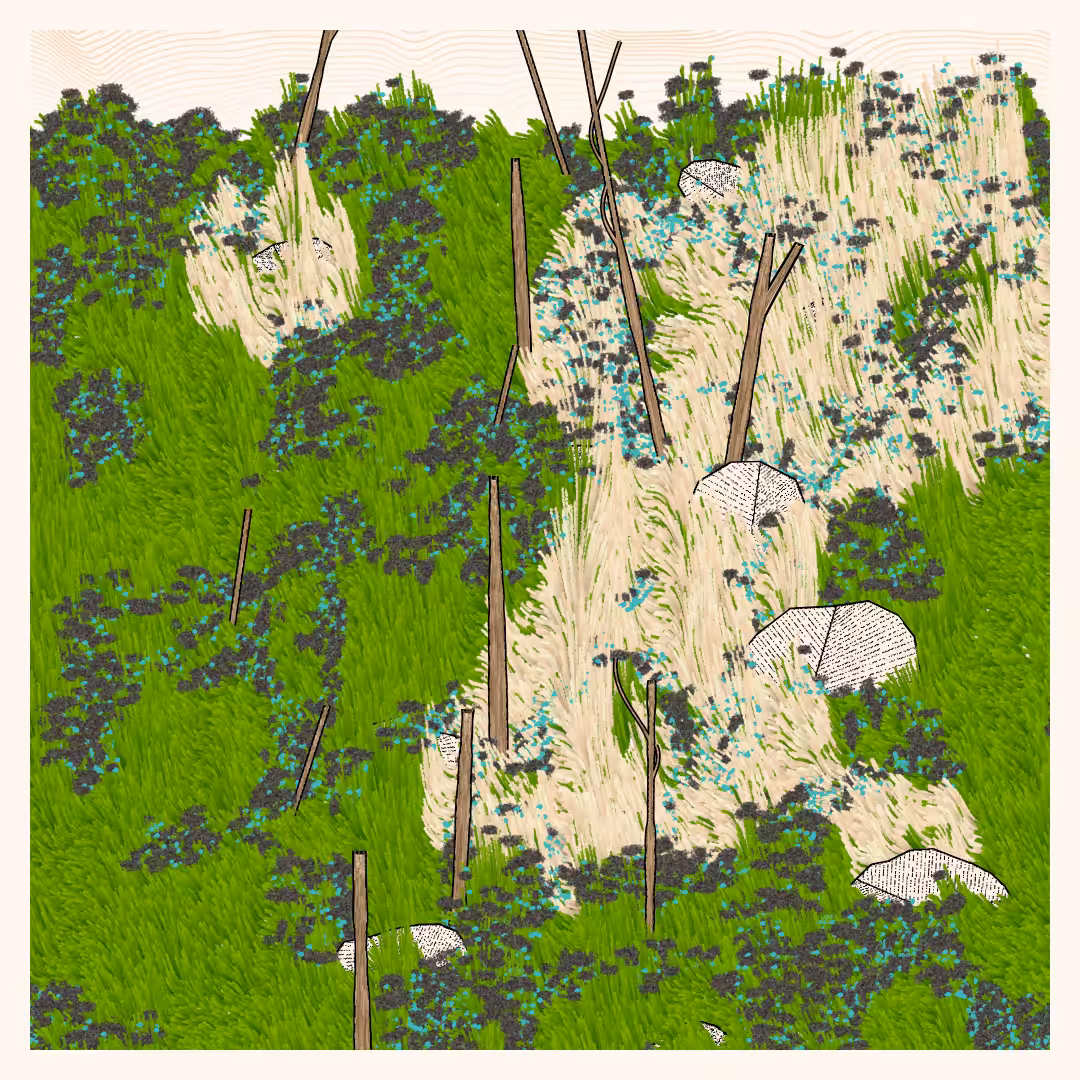 Bagh #59
