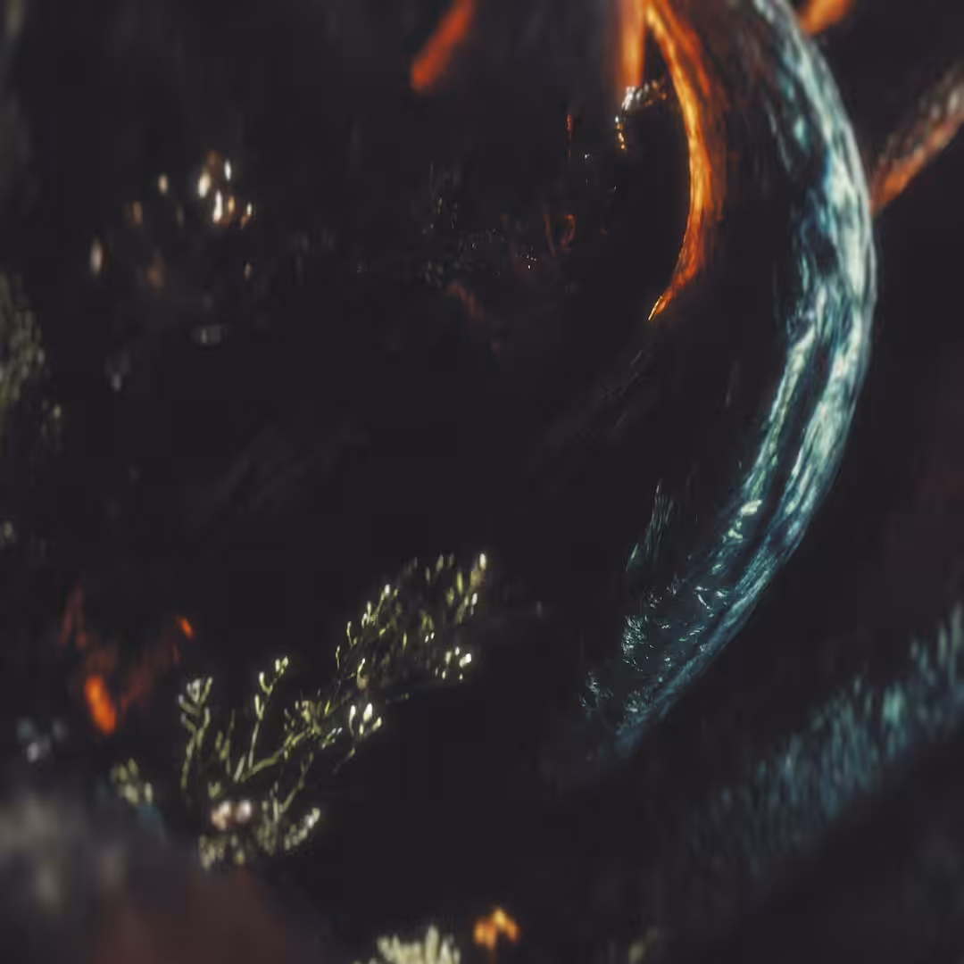 DRAGON HEART