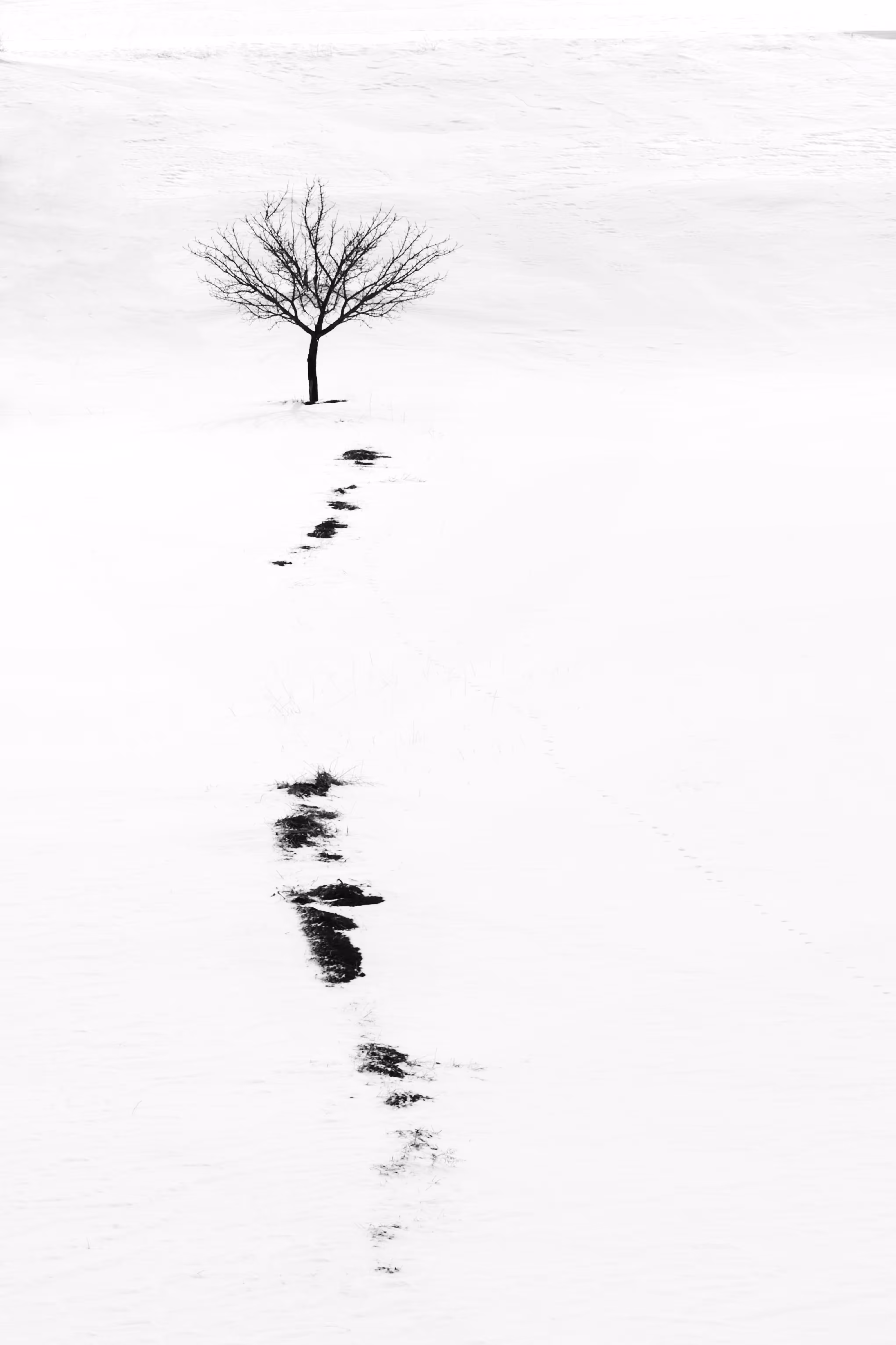 Alone