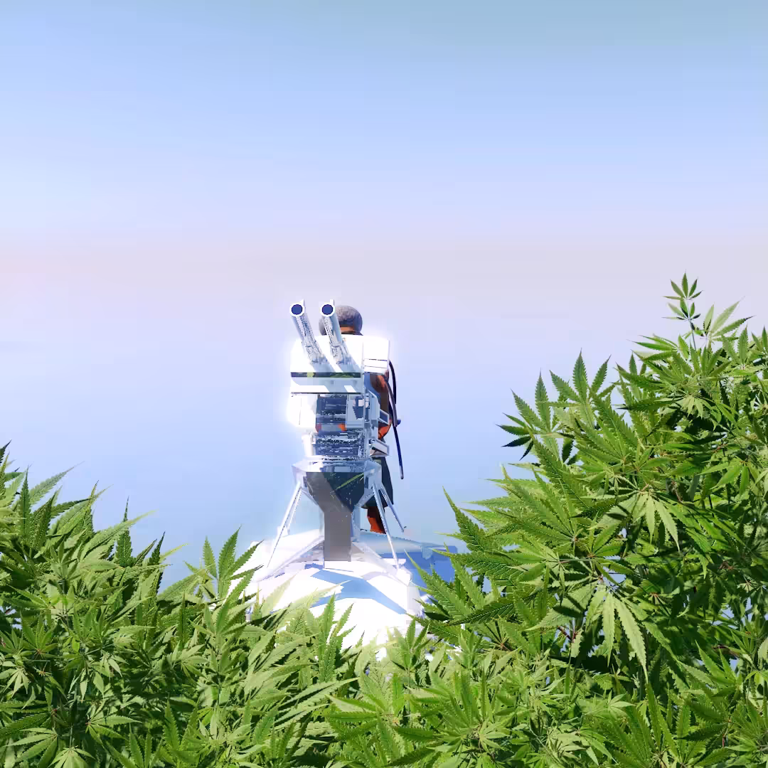 Ganja Farmer