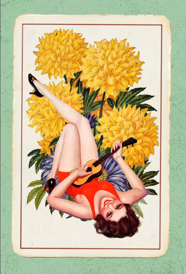 Paper Pinups #14