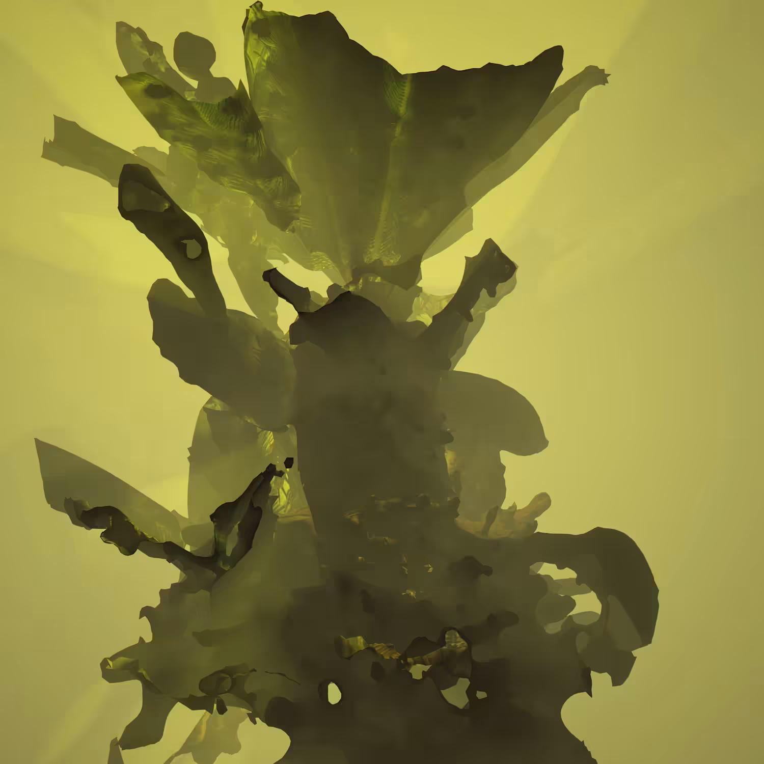 BLOOMCORE #29