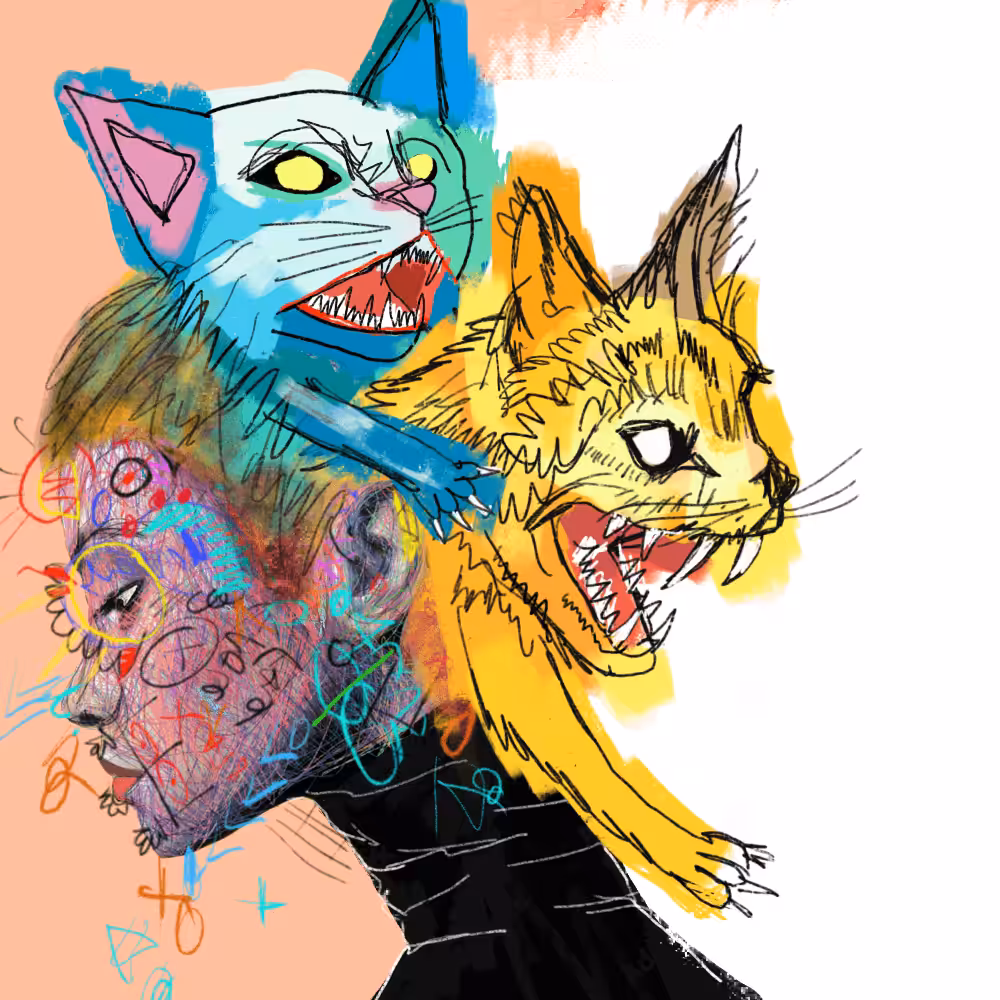 #24 Cat
