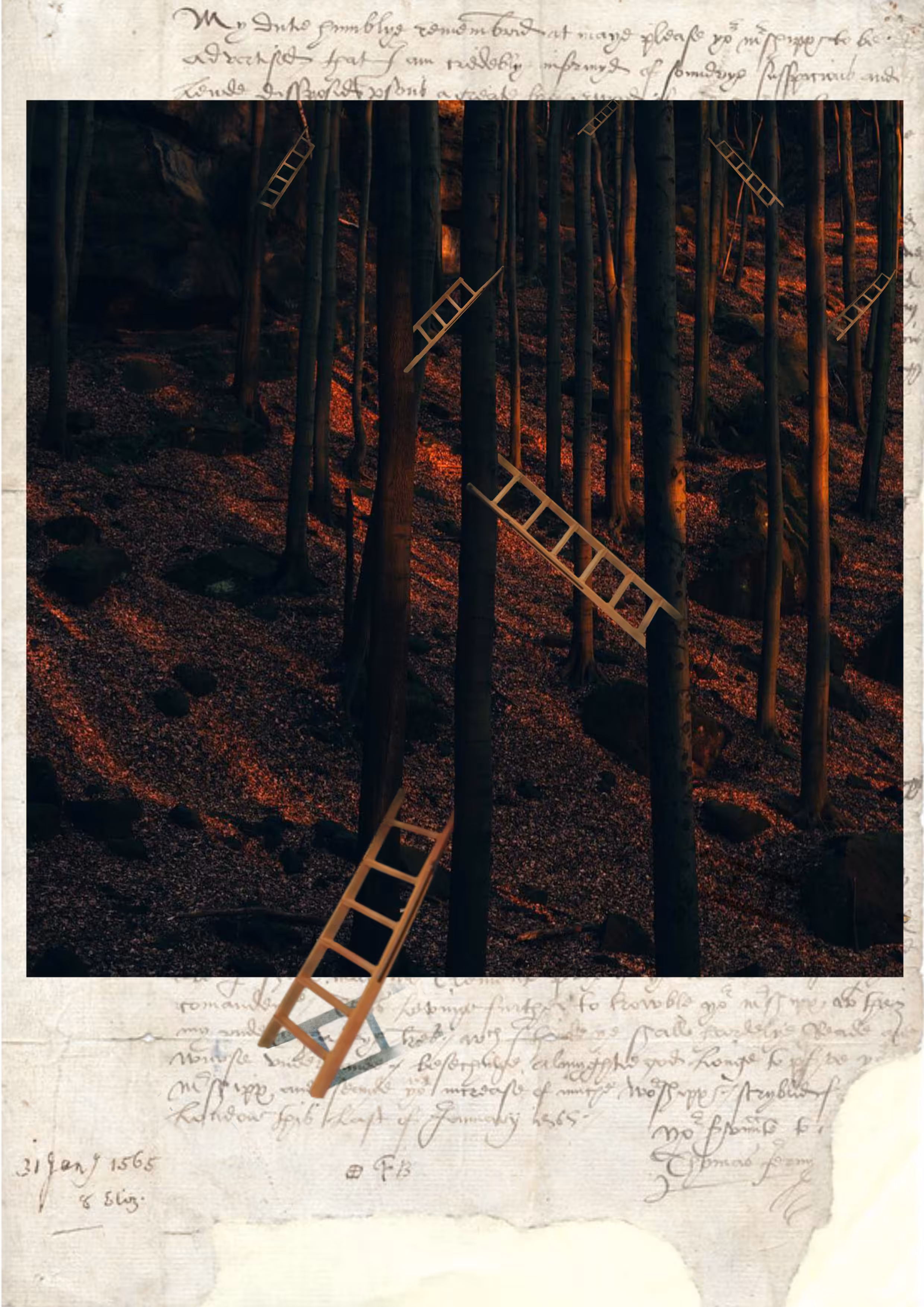 Ladders Nowhere
