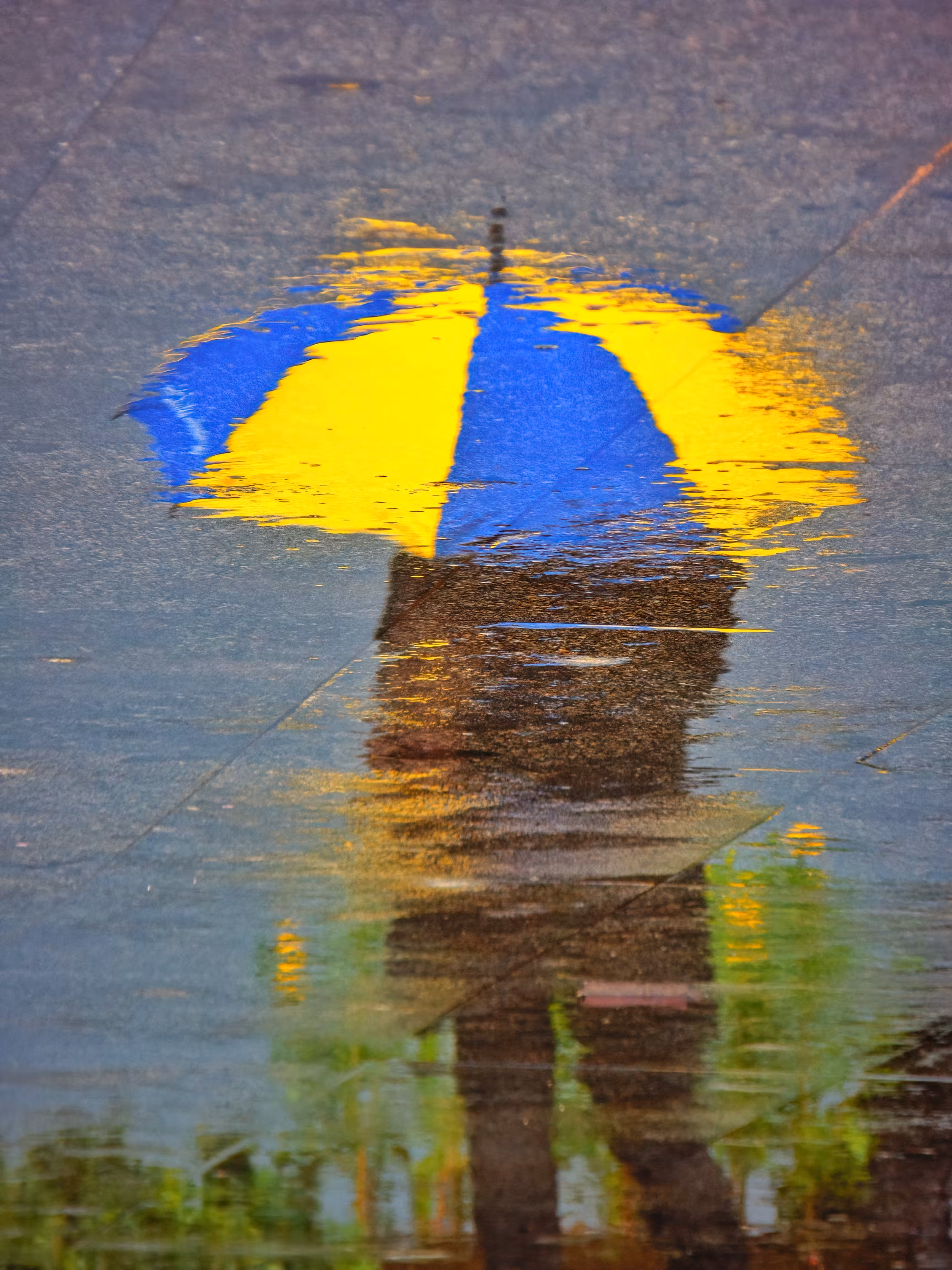Rainy No.2