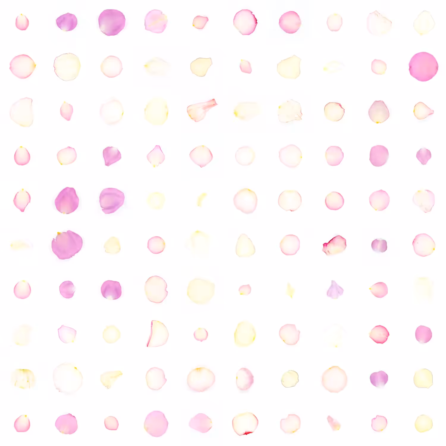 Infinite Petals 10x10#996