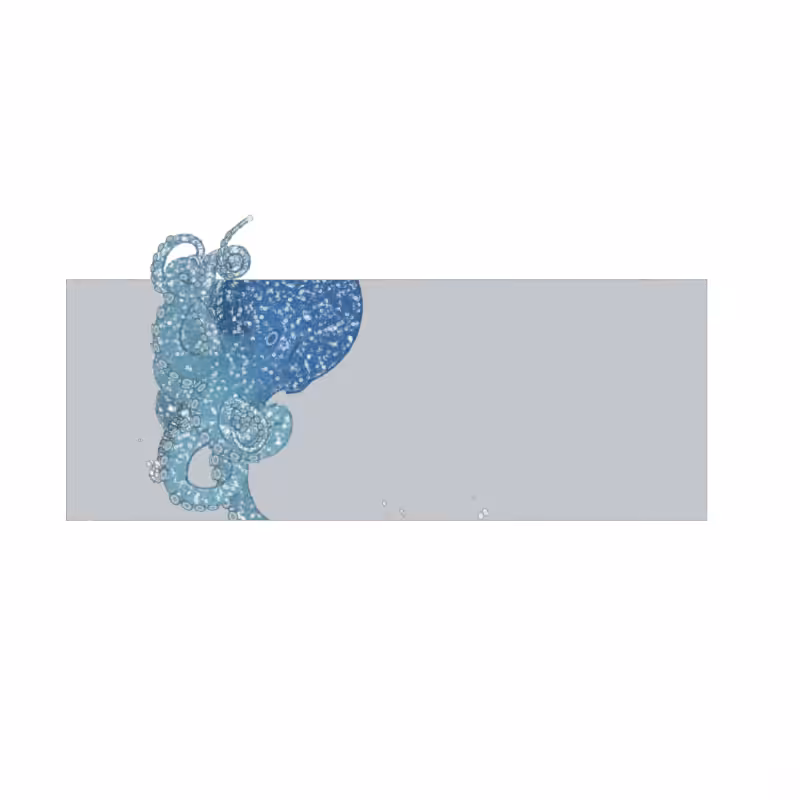 the generative octopuses #47