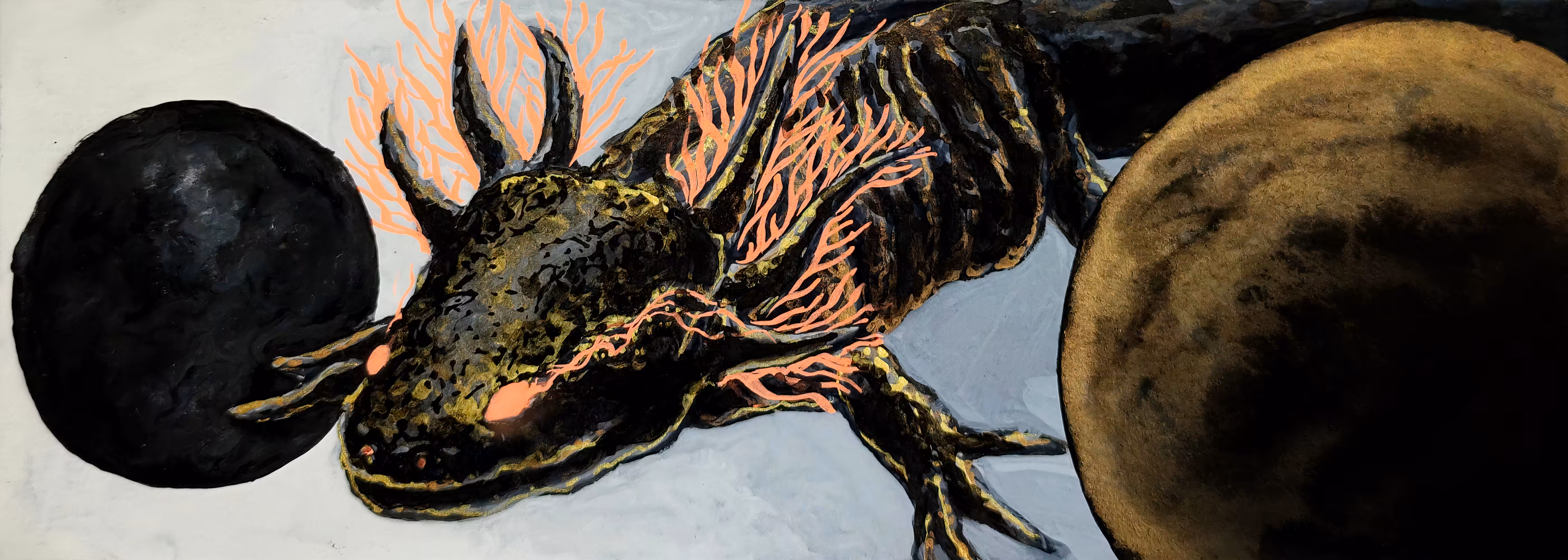 Axolotl Gold & Dark#6