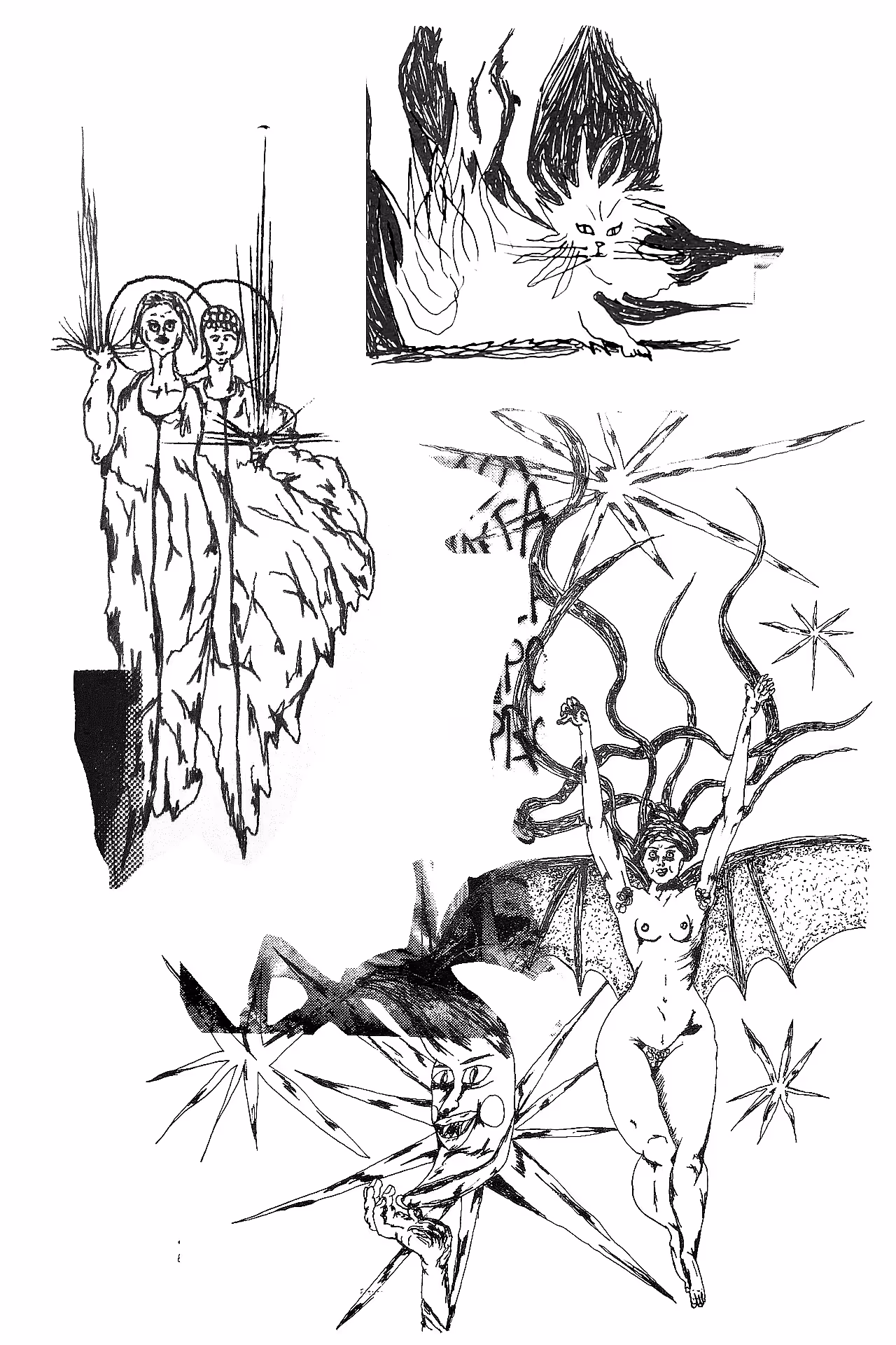 14