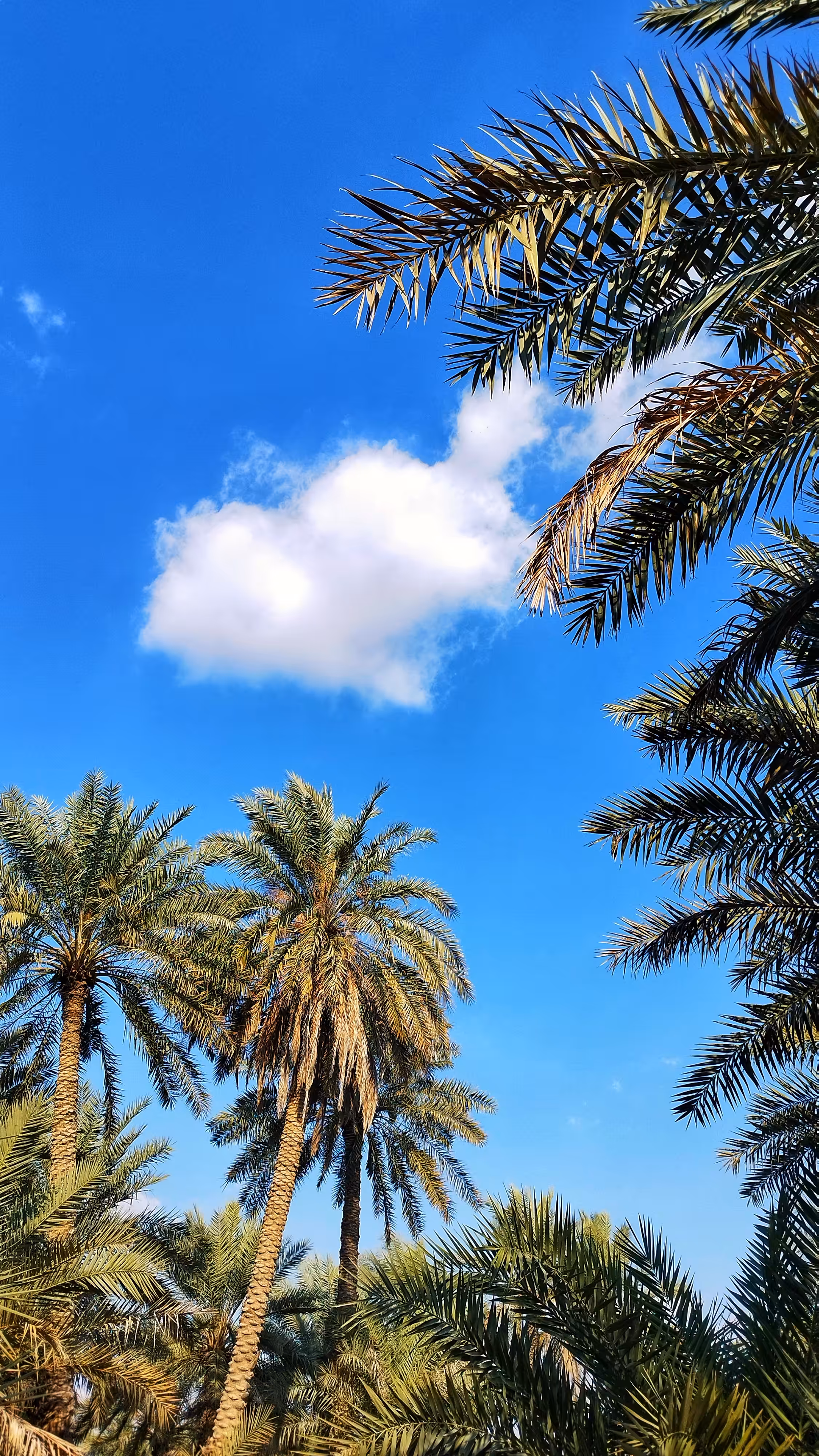Clouds #14