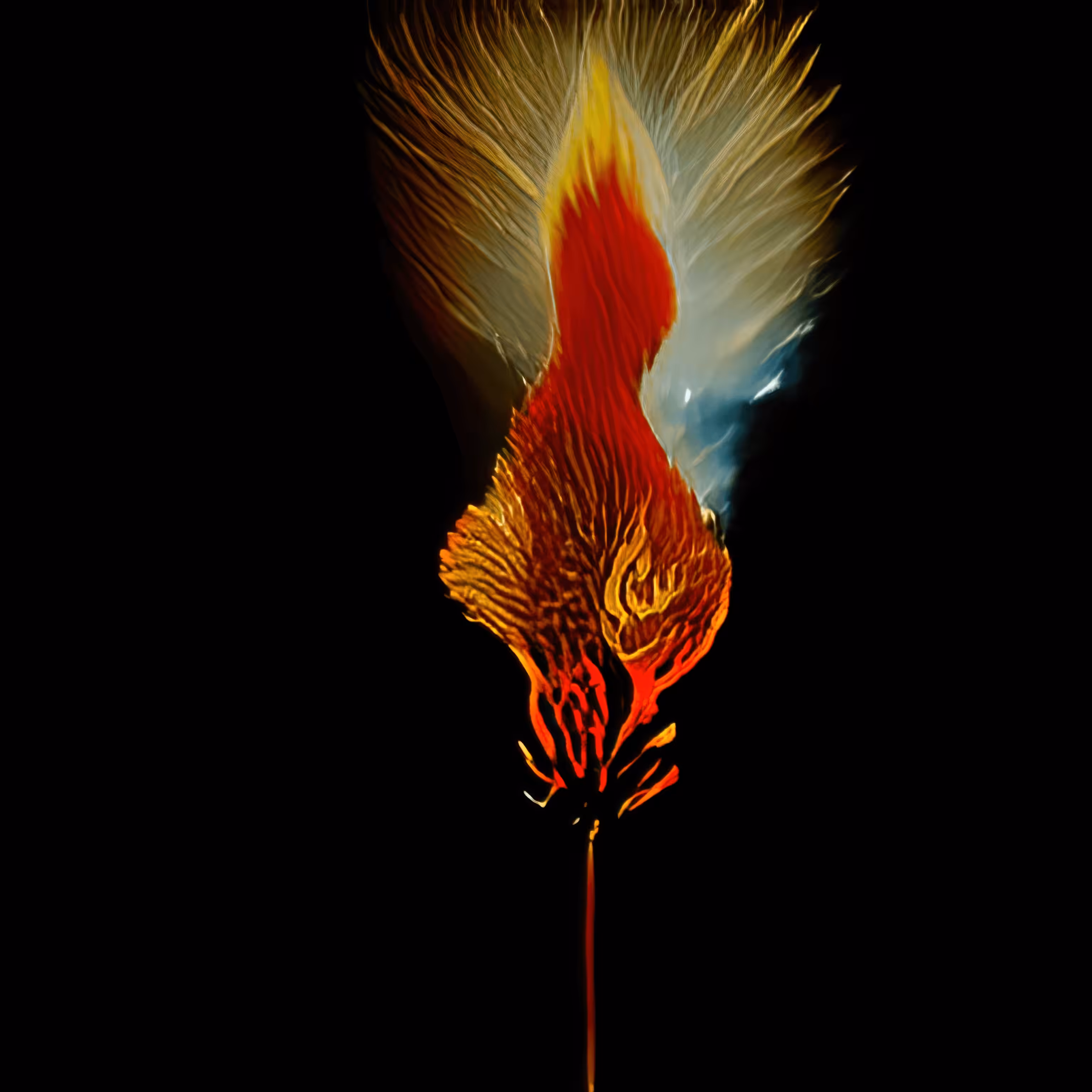 Phoenix 8