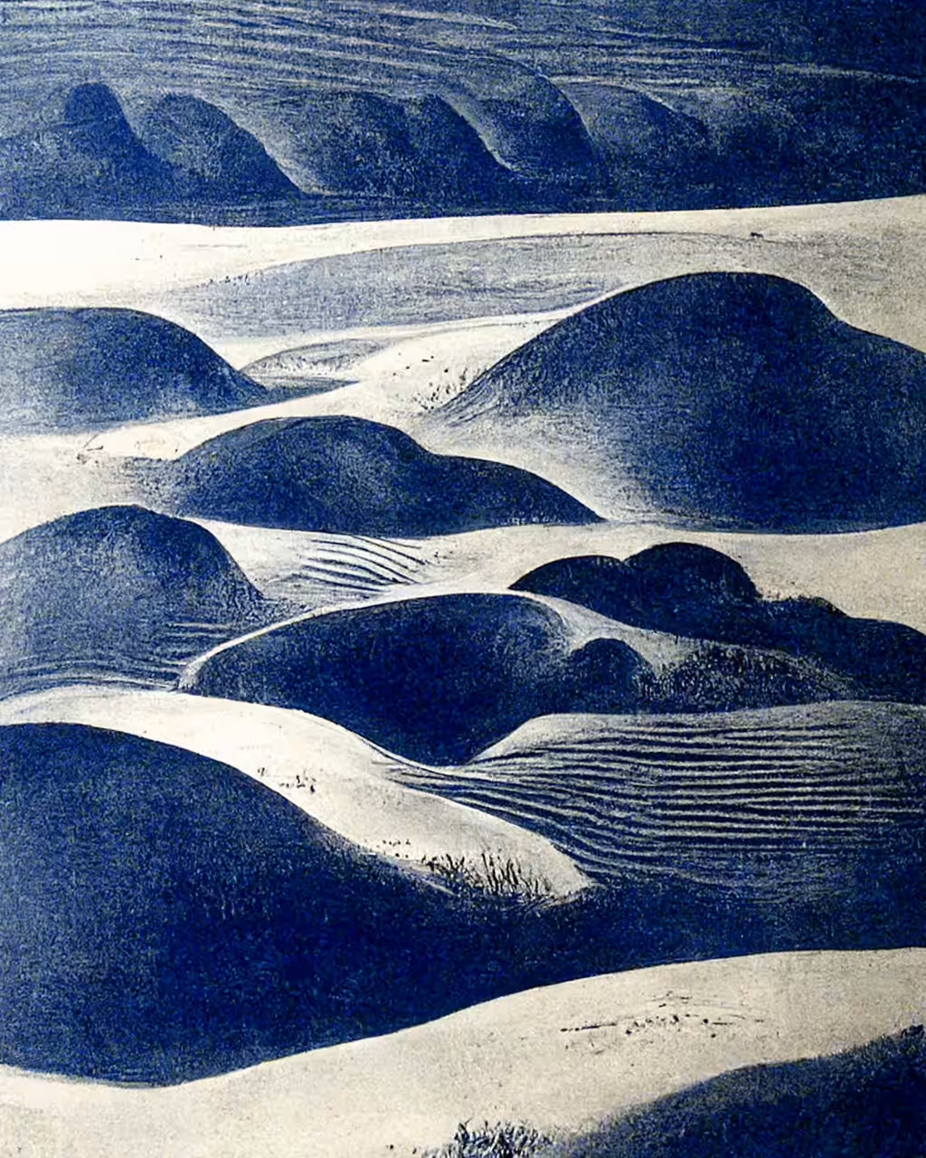 The Night Dunes