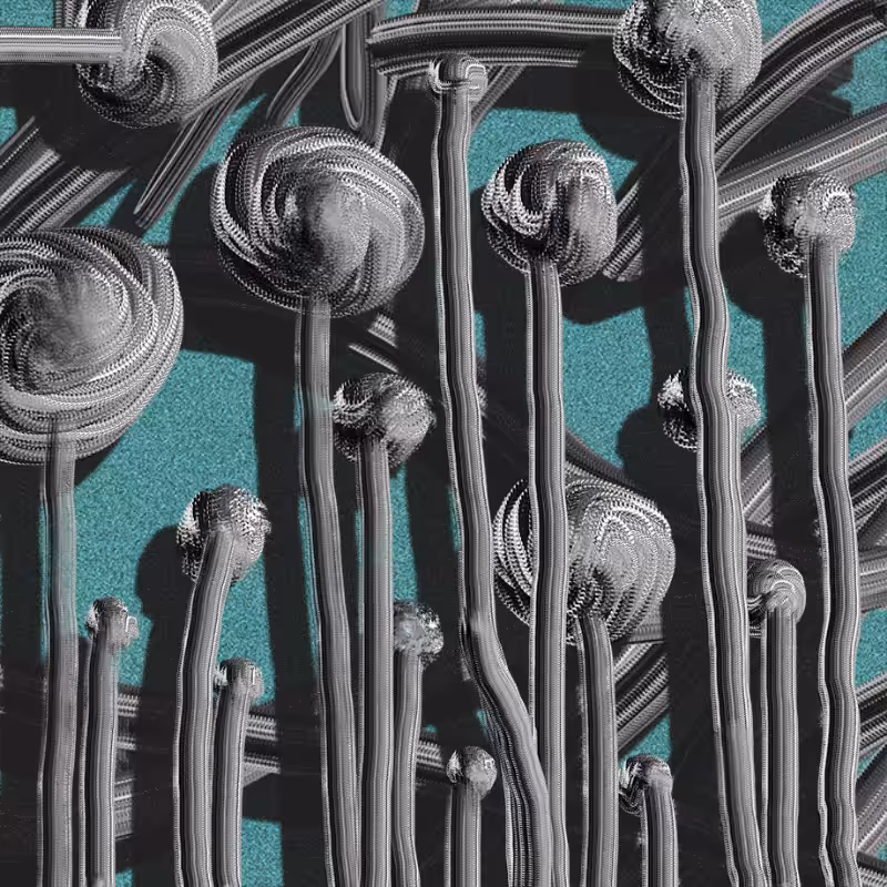 The non-linear connections  #40