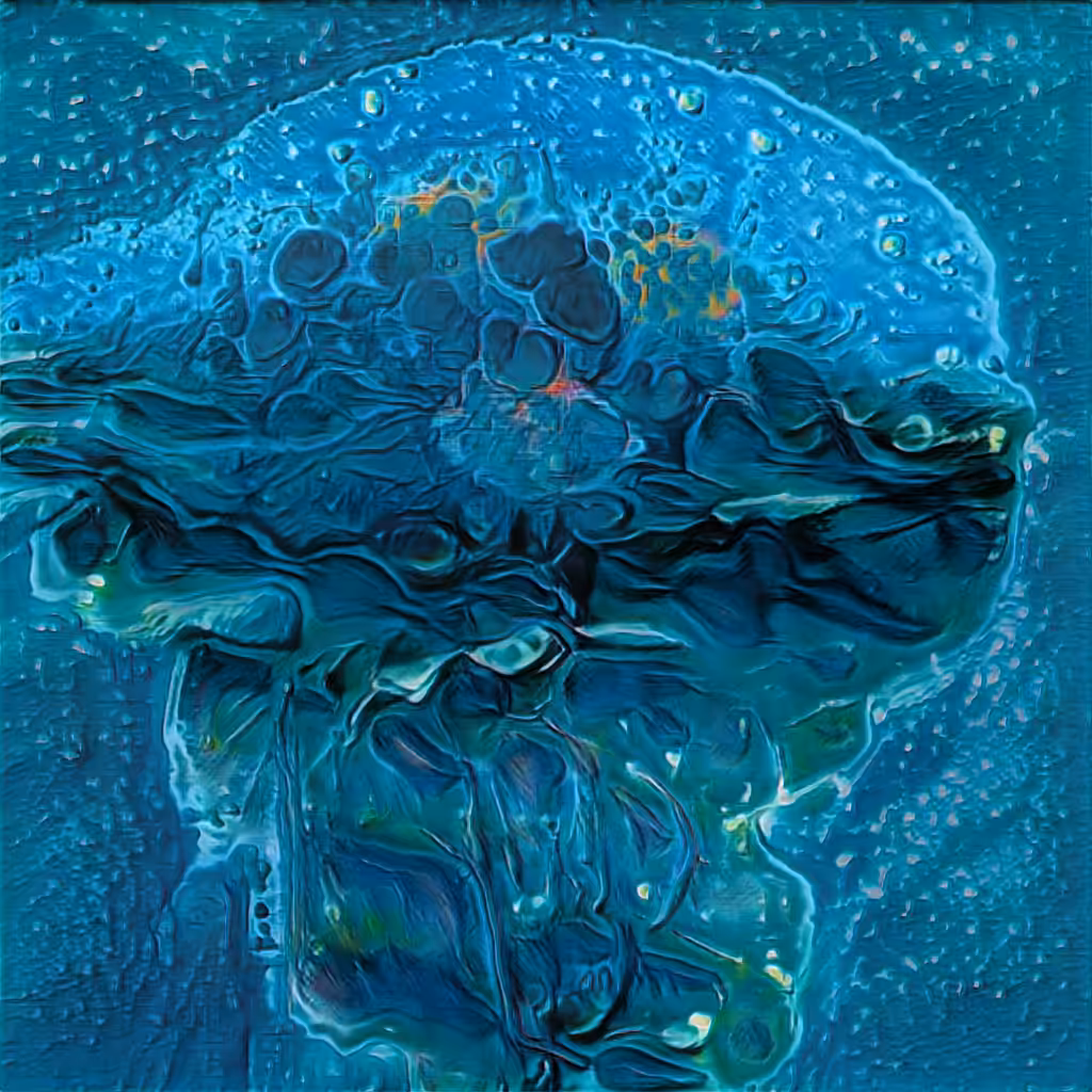 Jellyfish