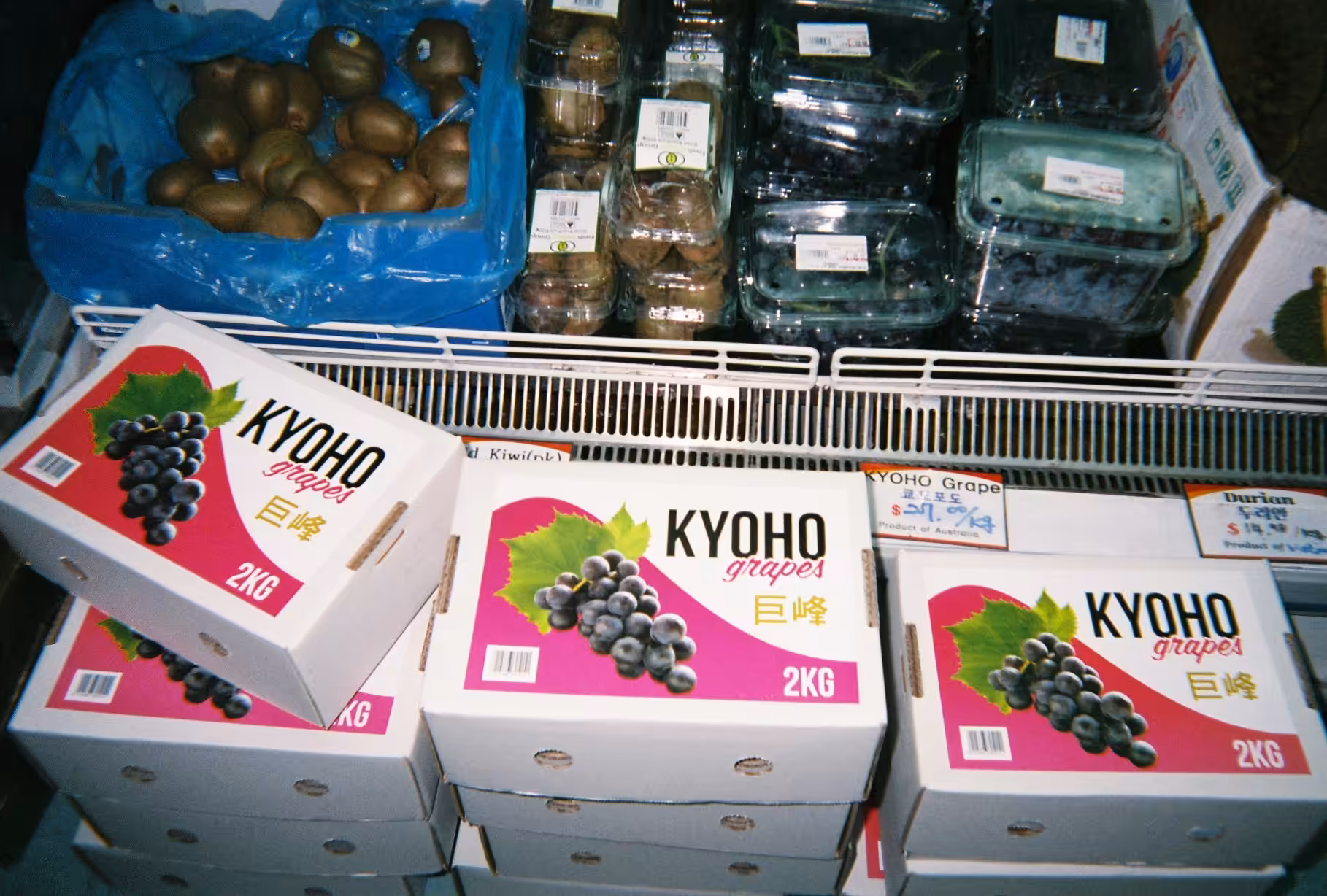 Day358 KYOHOぼっくす