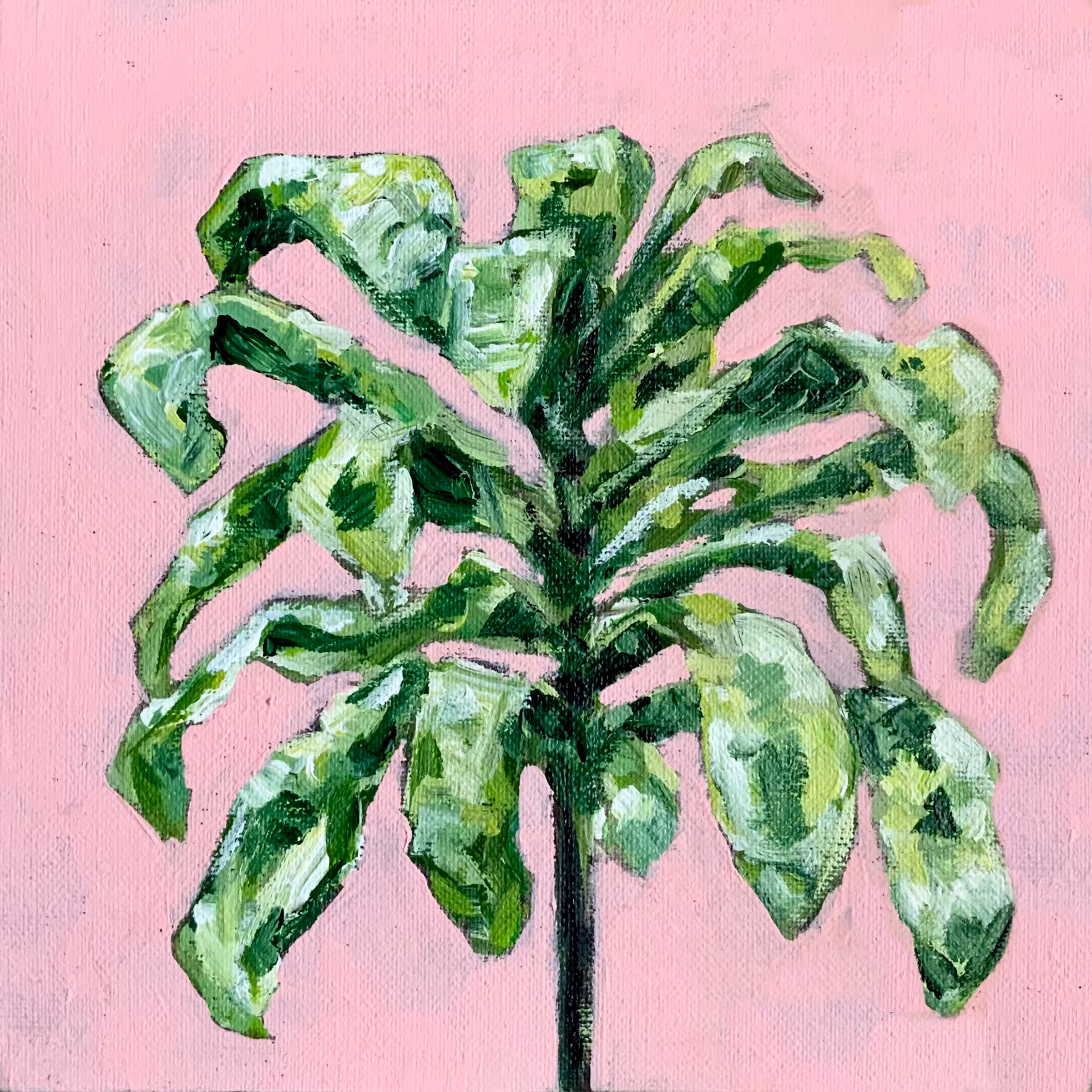 Little Trees