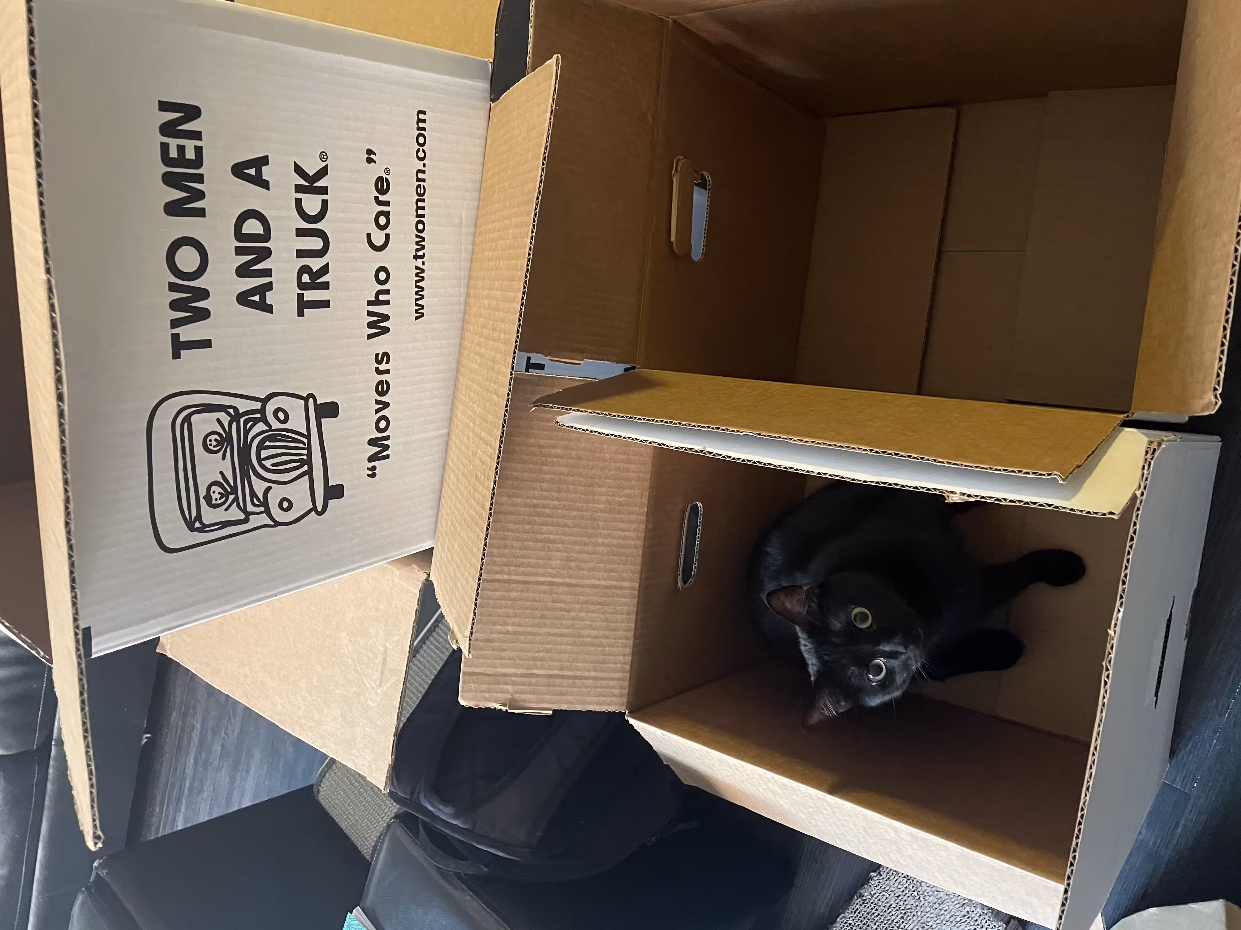 Can I help you move?