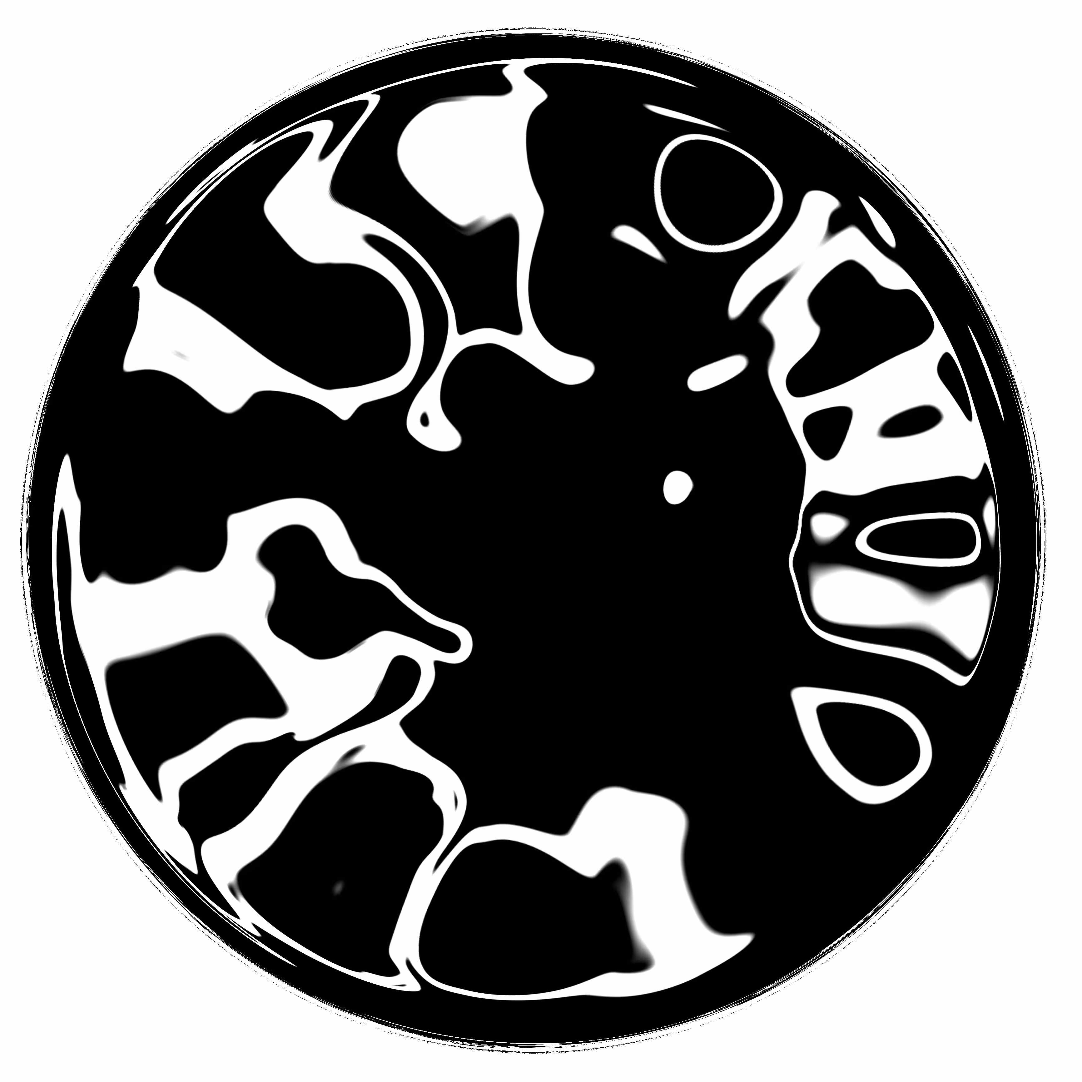 petri dish