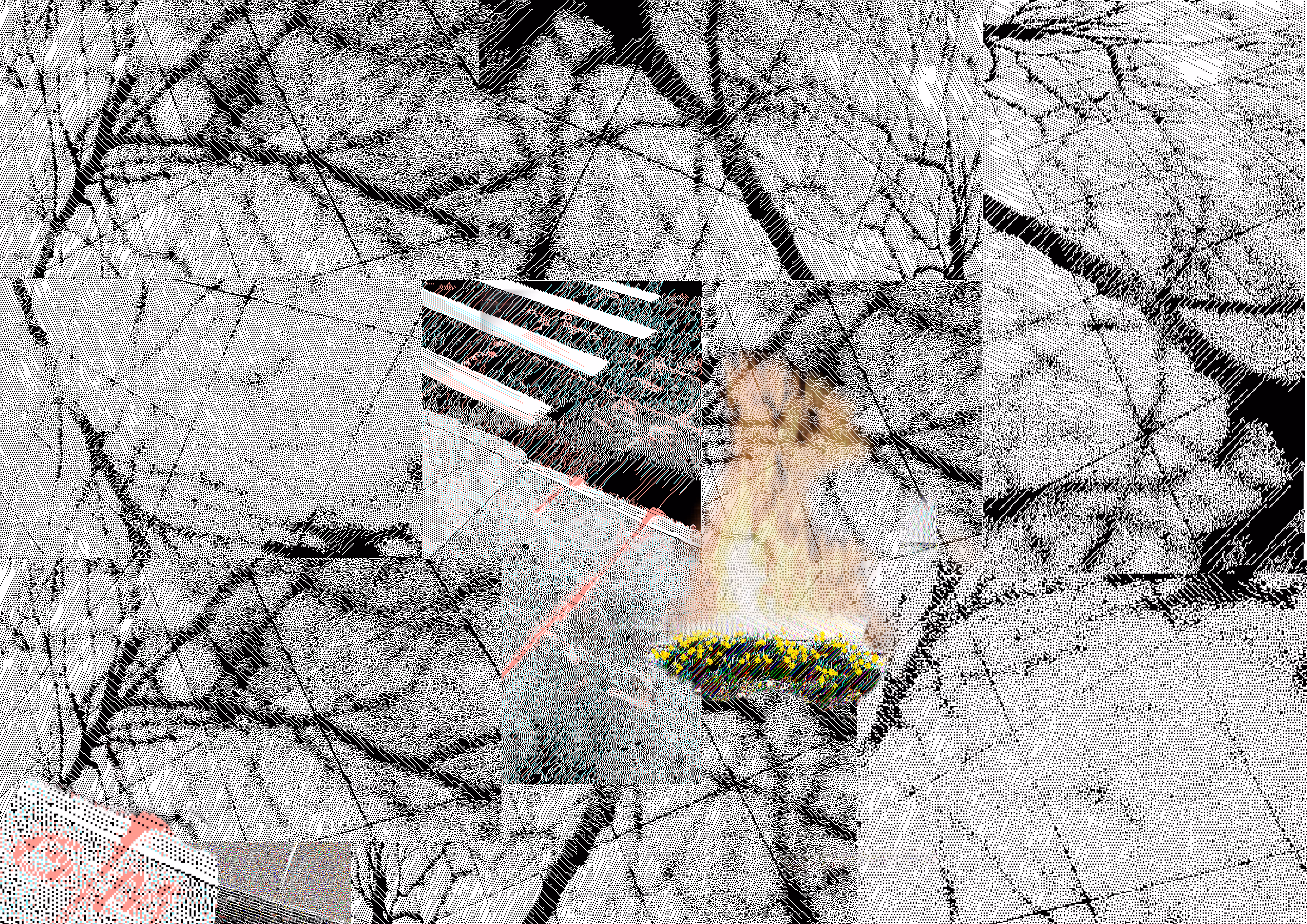 Observation 28