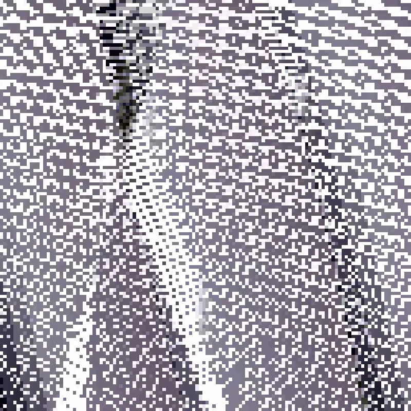 Grid, Rules and Cells #251