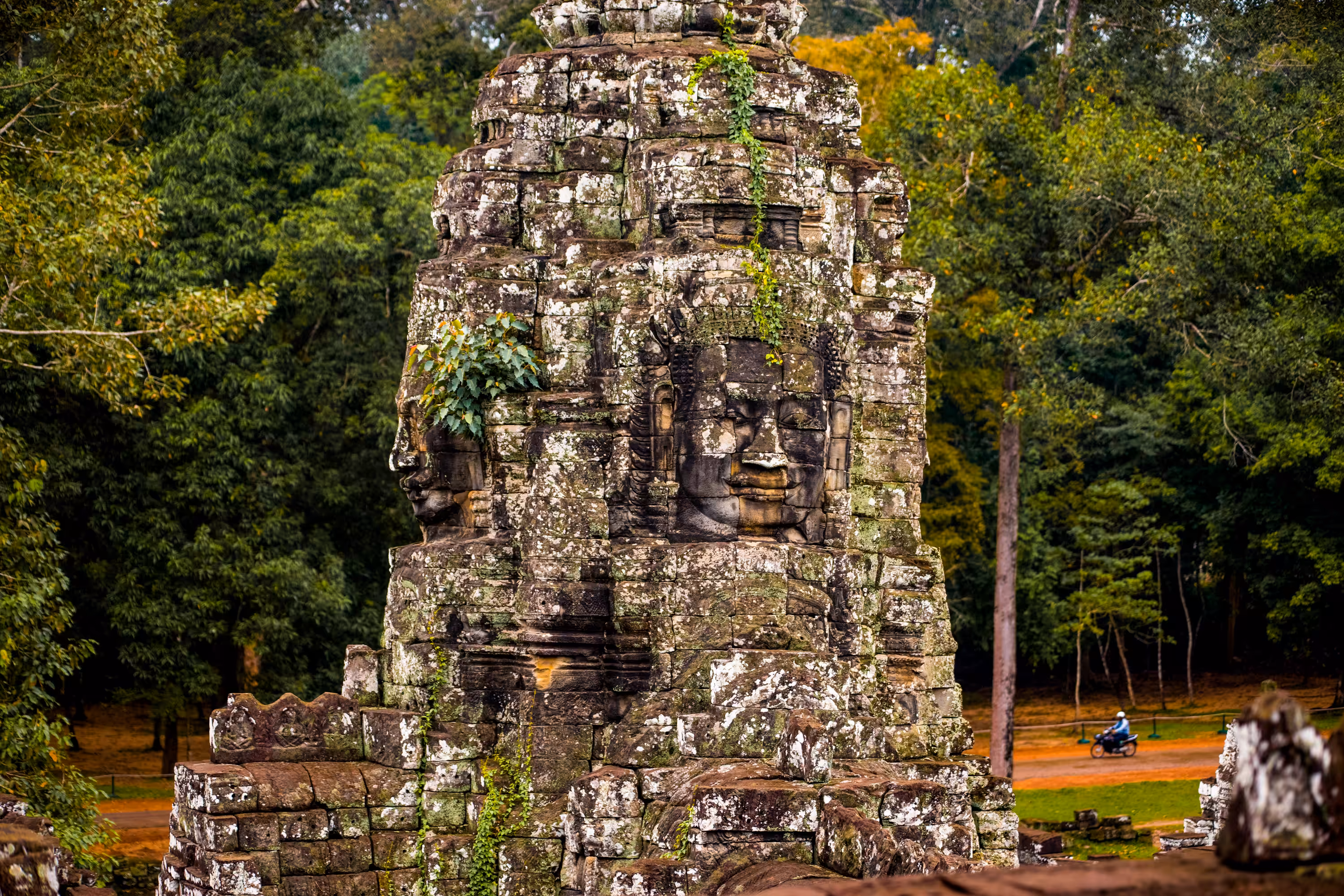 Angkor #14