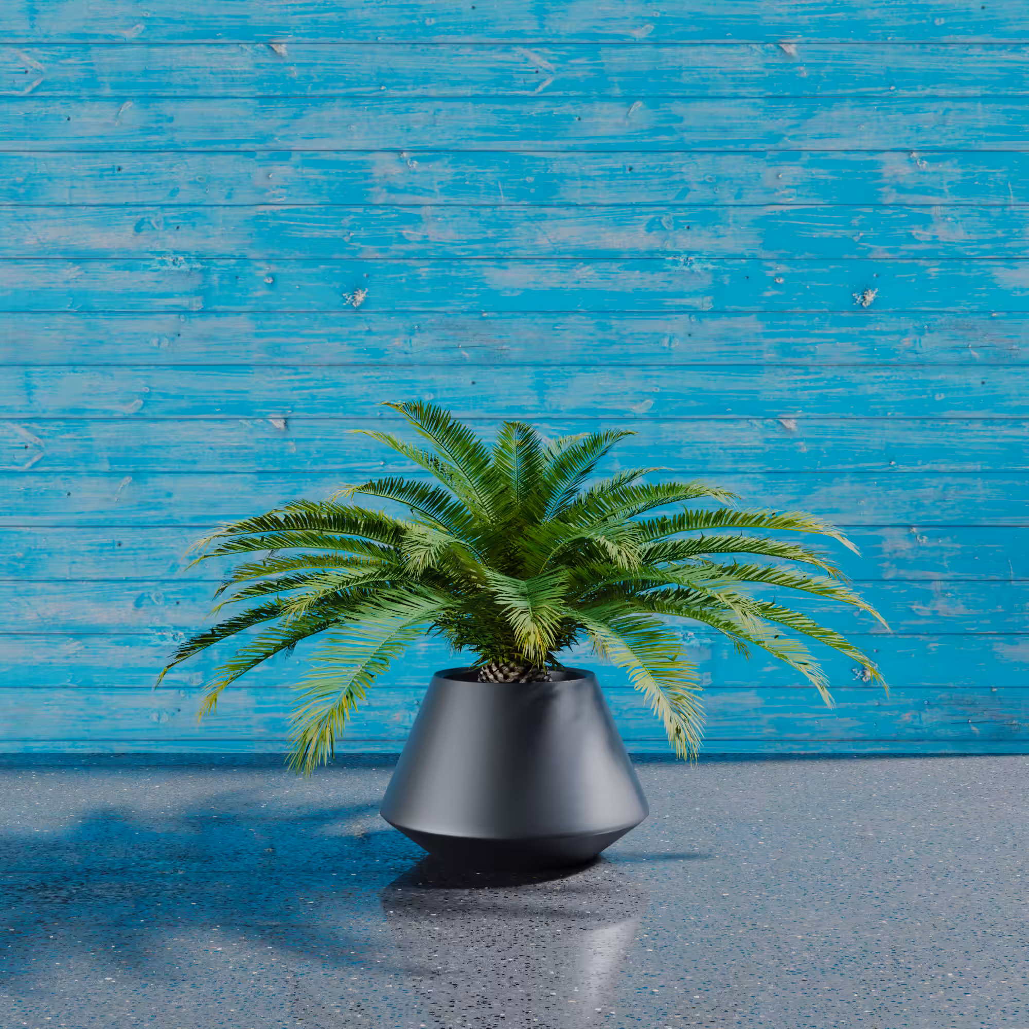 MyPlants #3