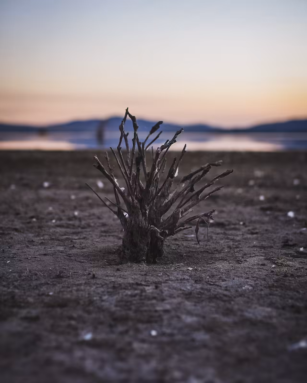 Isolation