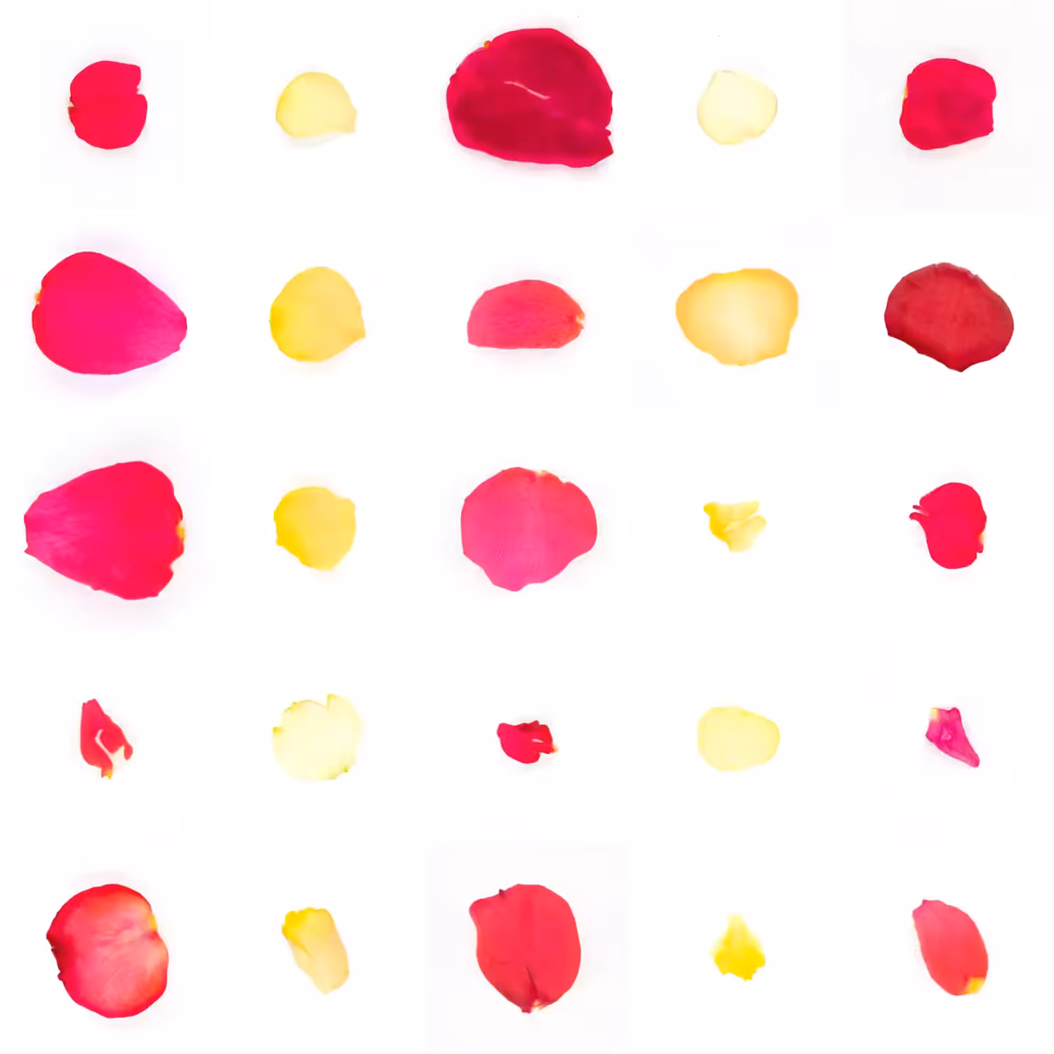 Infinite Petals 5x5#745