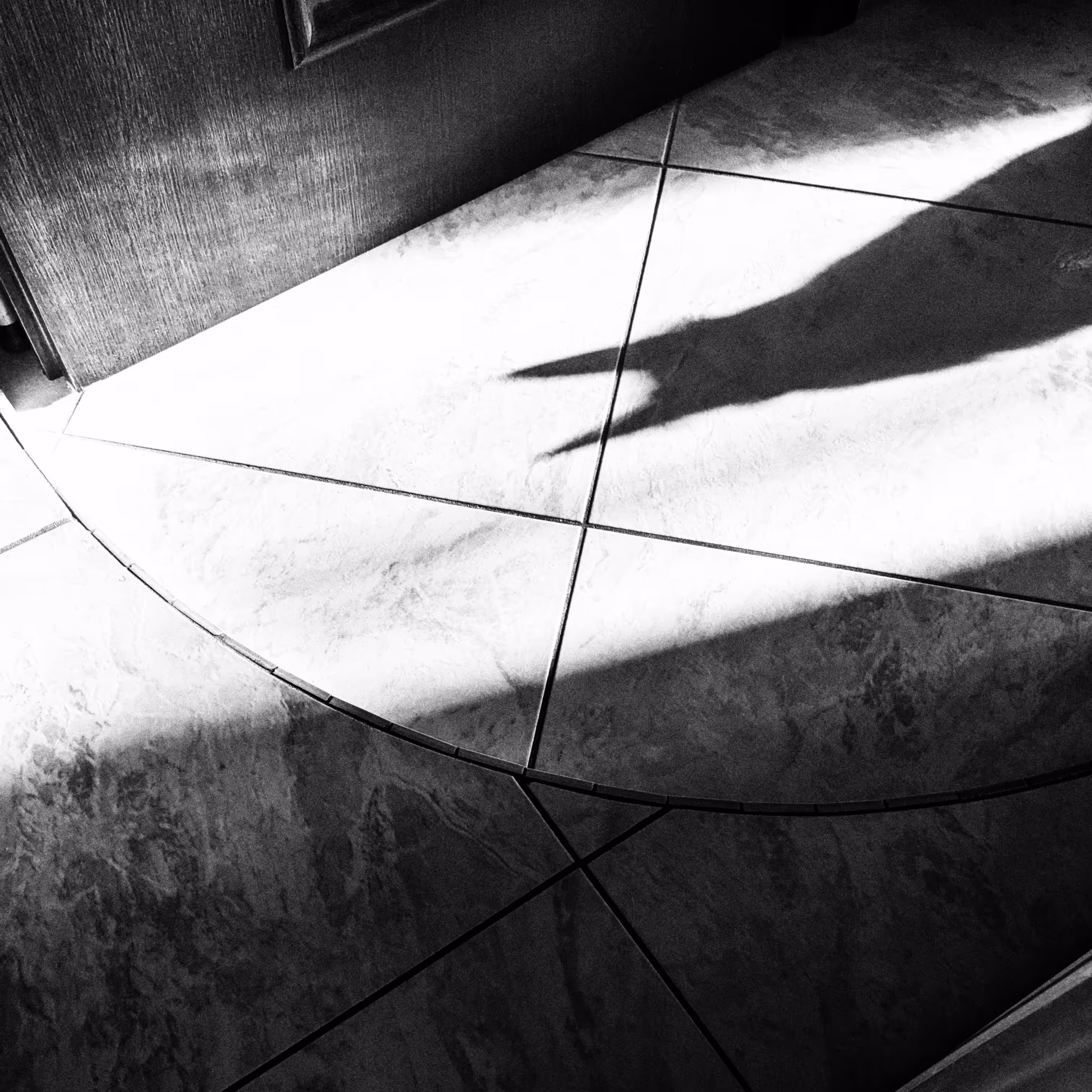 batcat