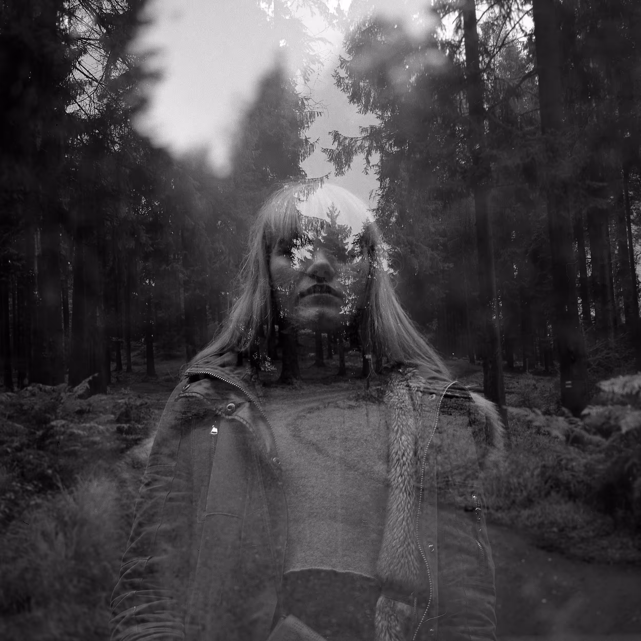 Mystery Forest