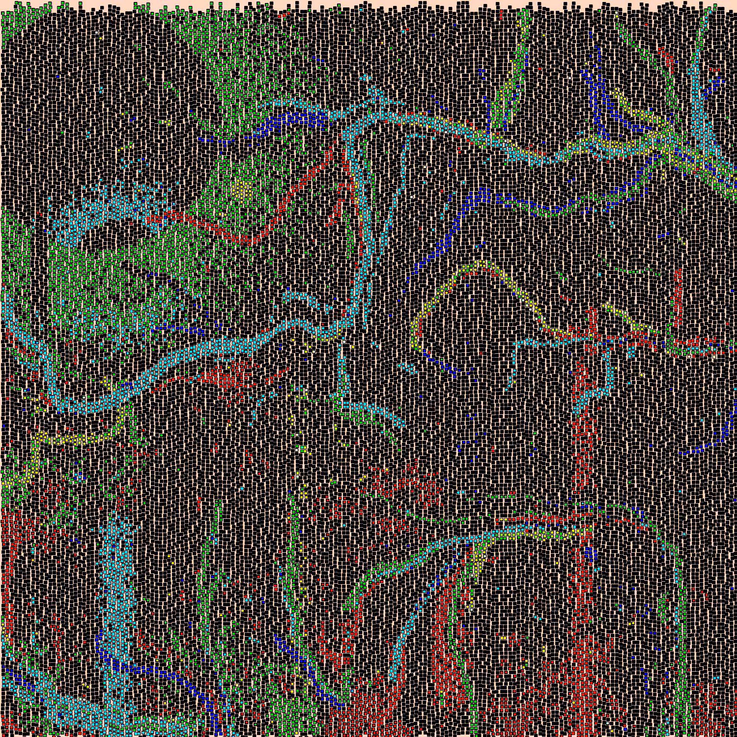 Tessellatum #31