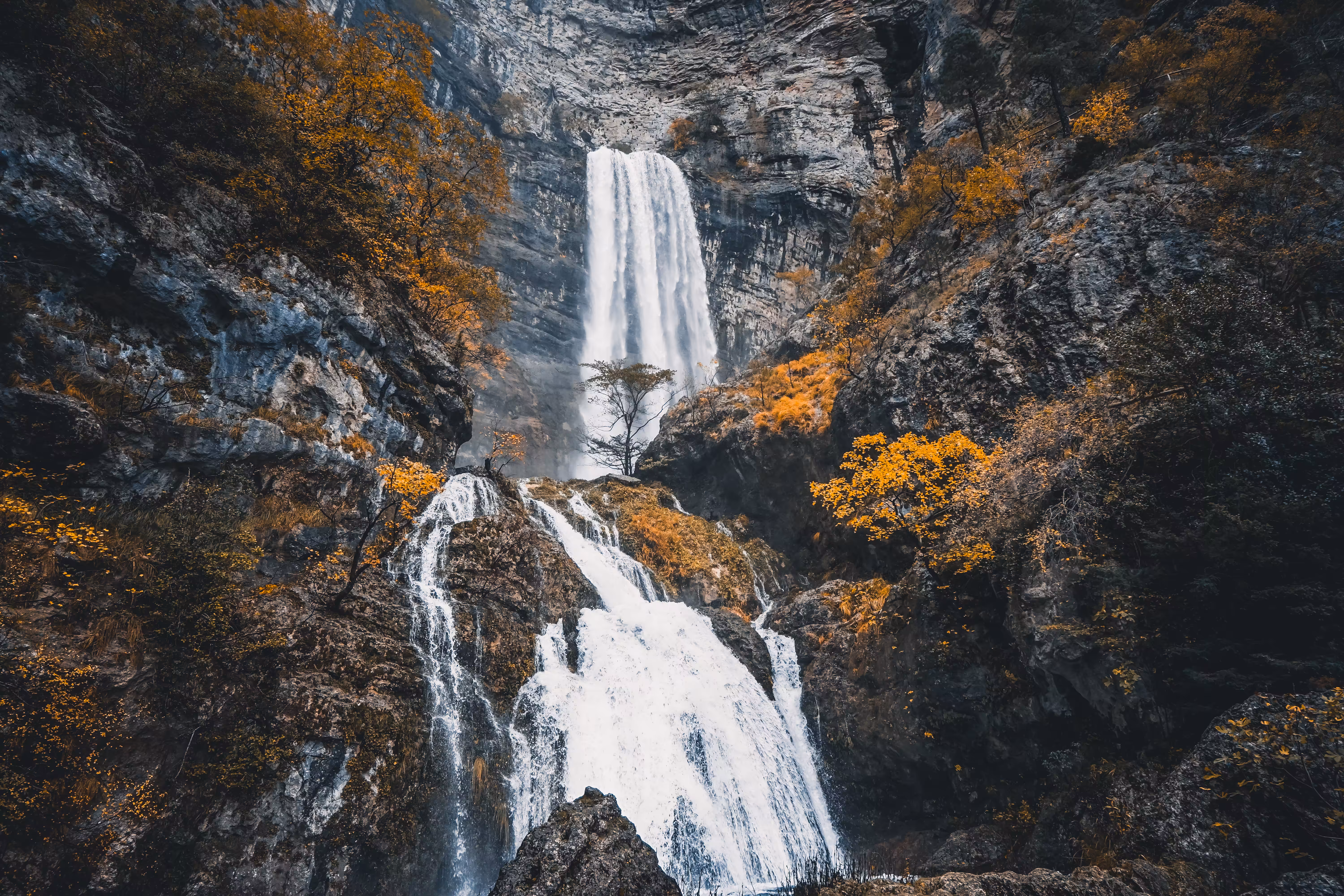 The Fall