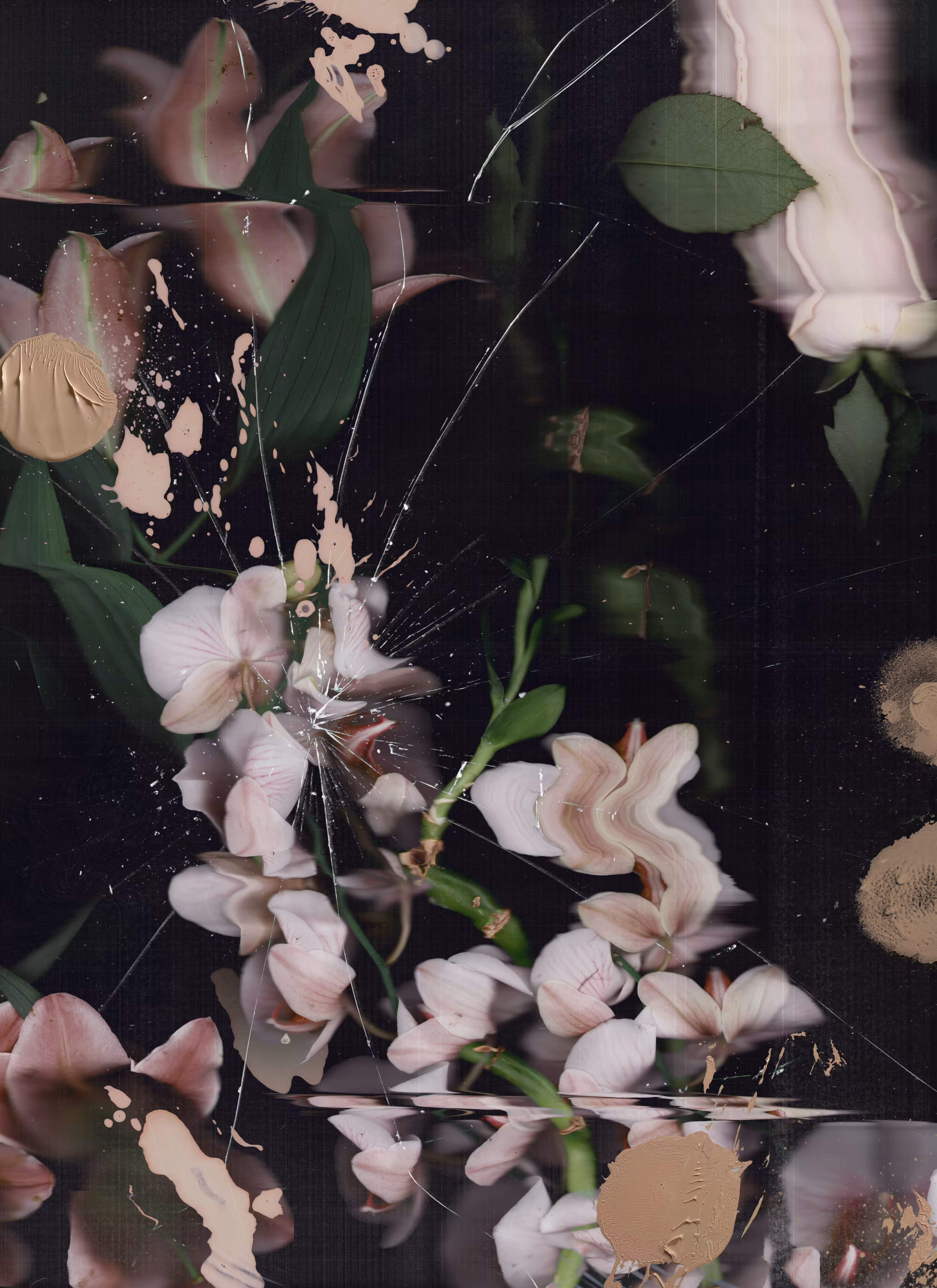 Broken Flowers from Don Johnston 2