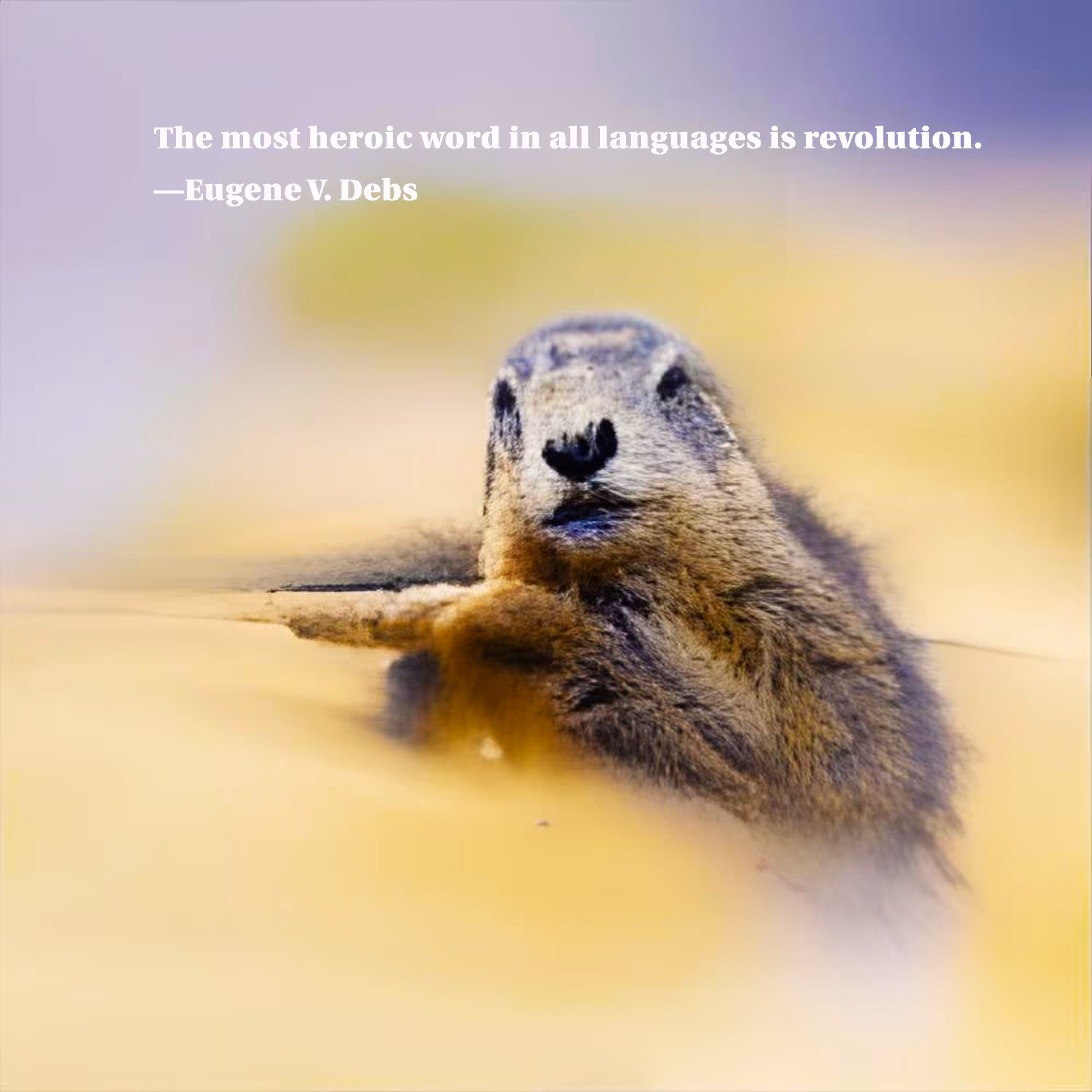Revolutionary Groundhog Day 9:35 AM