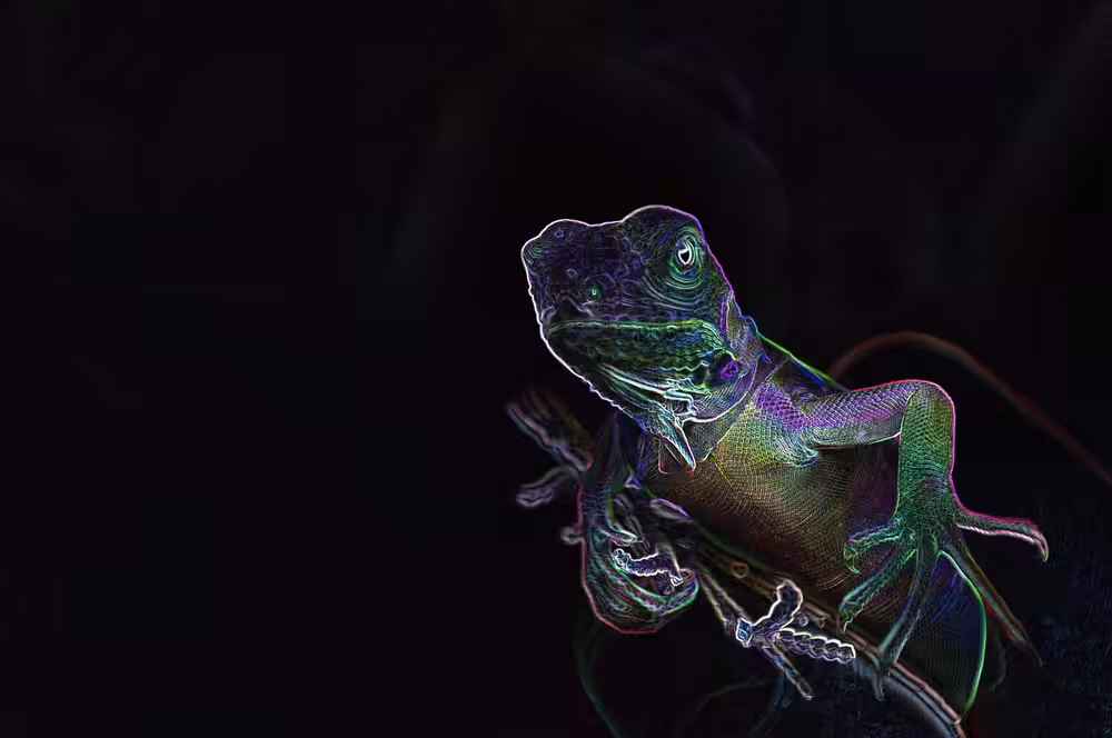 Small lizard