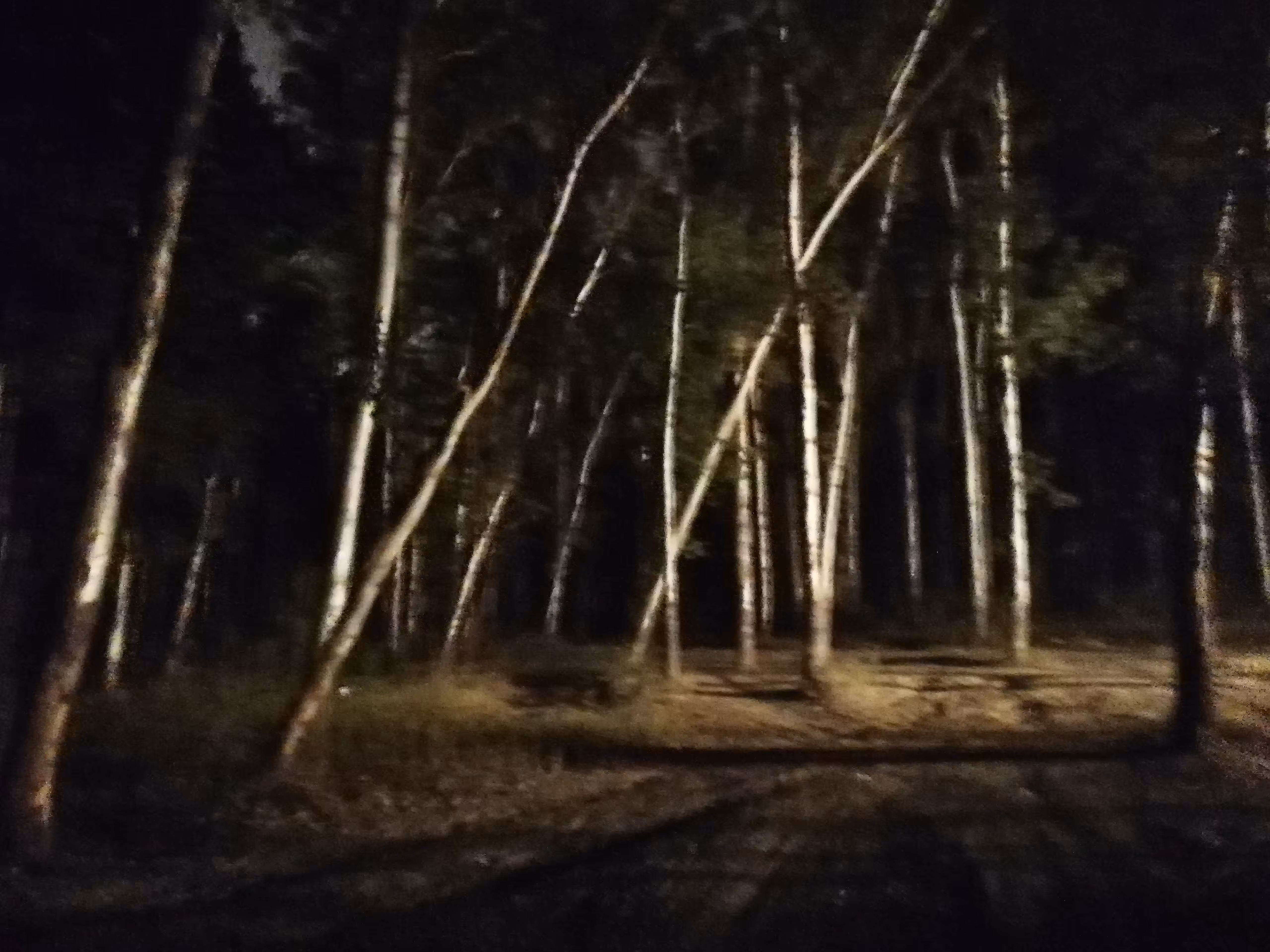 Part of a night