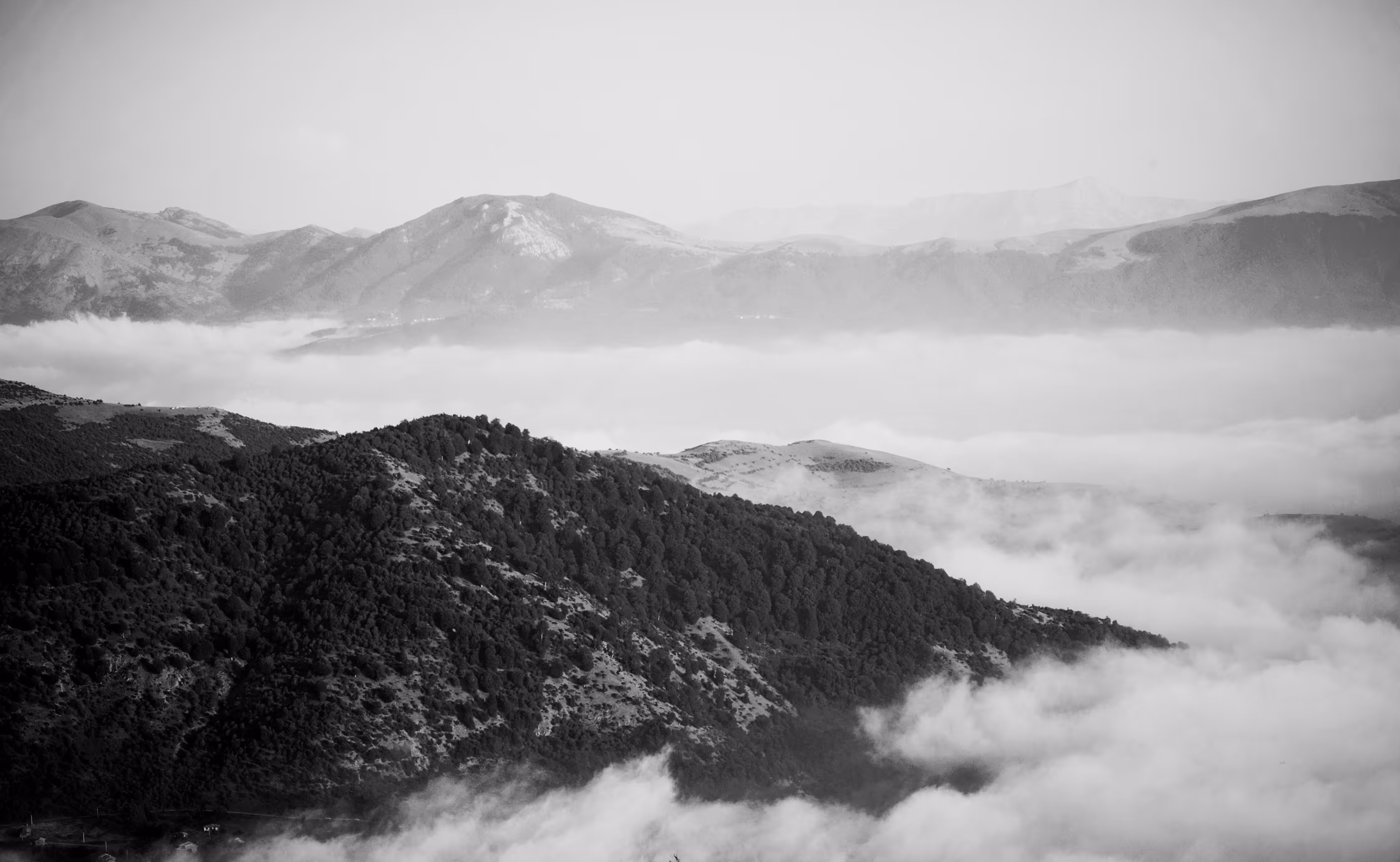 Landscape in the Mist