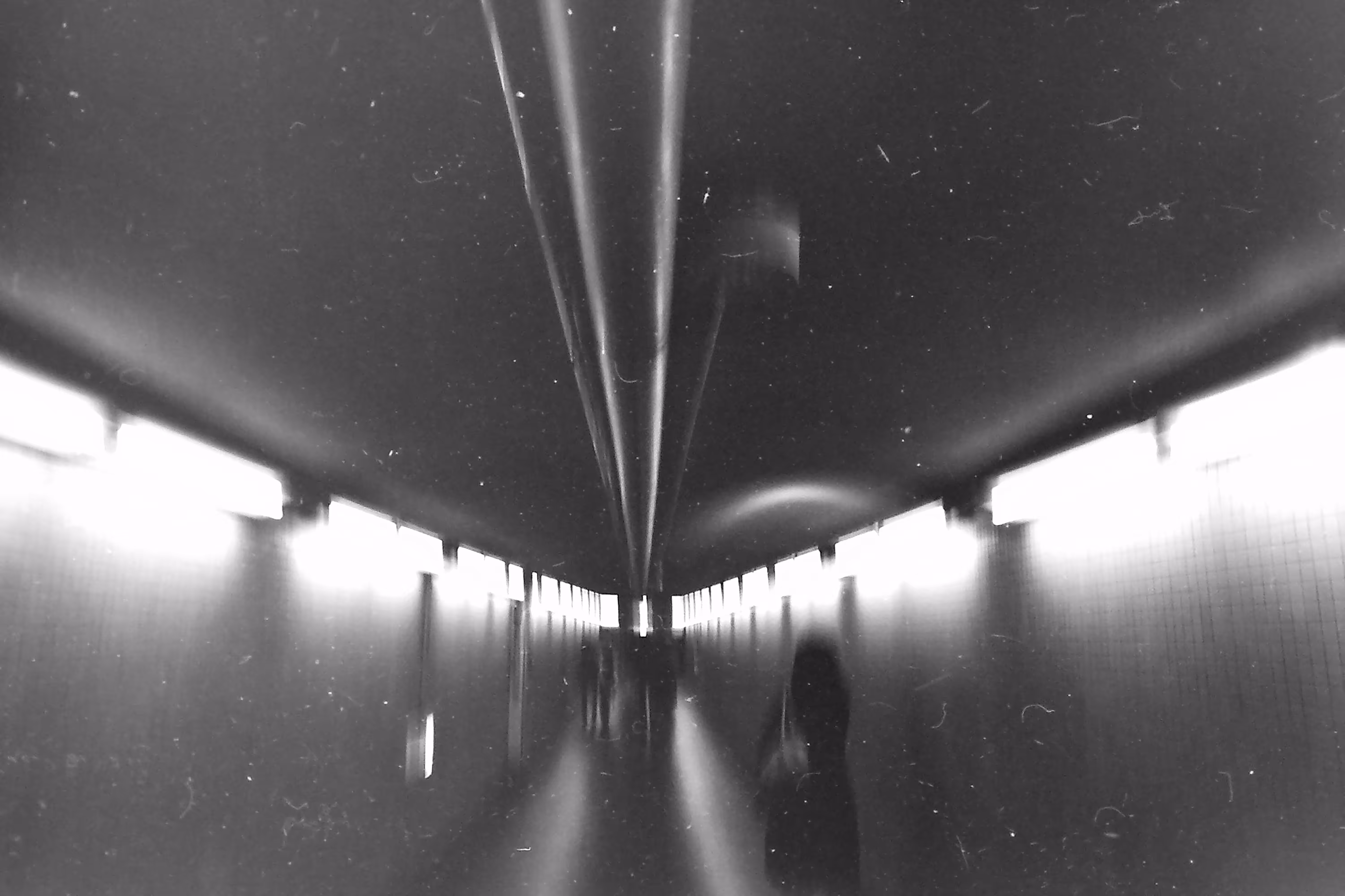  Film Photography Day 2026