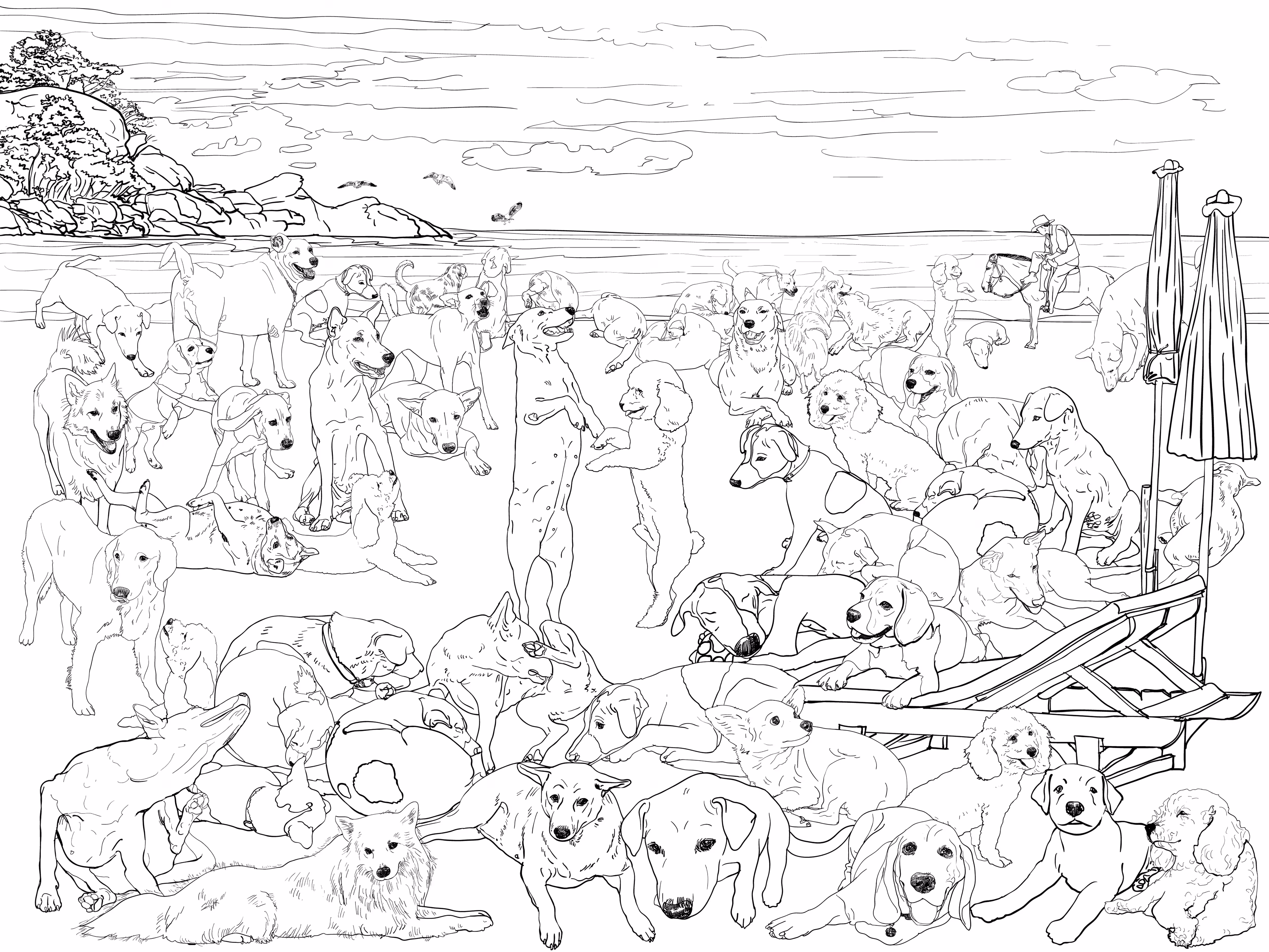 Dogs on the beach