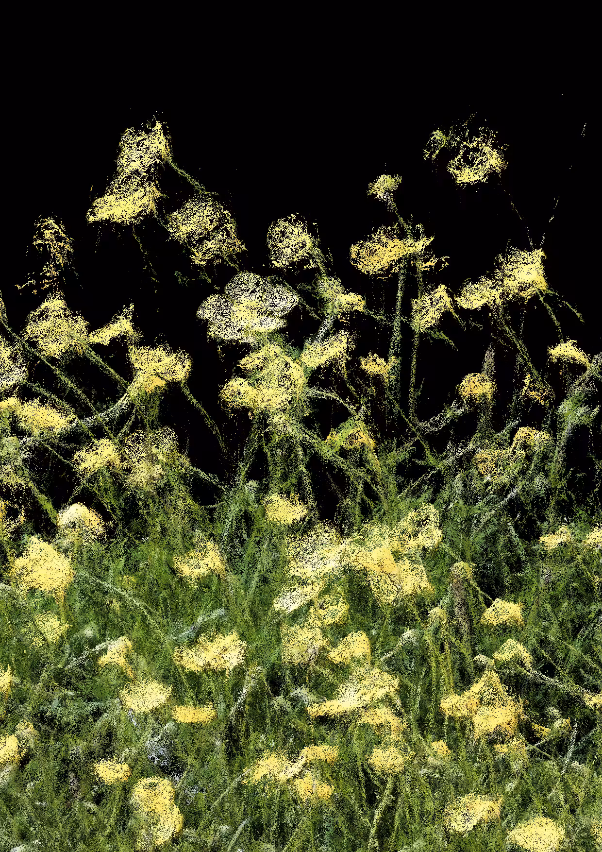Overgrowth 0150
