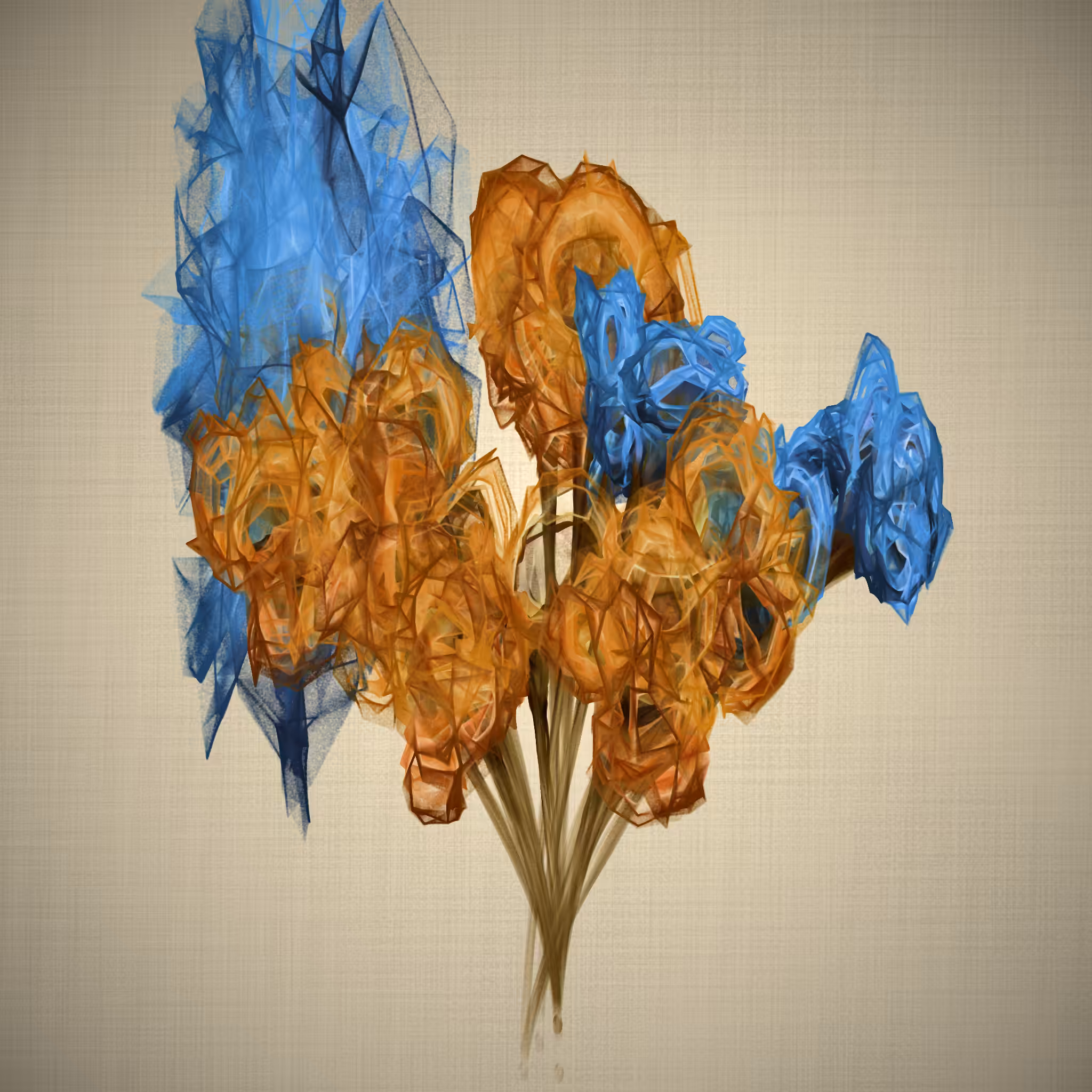 lilium #29
