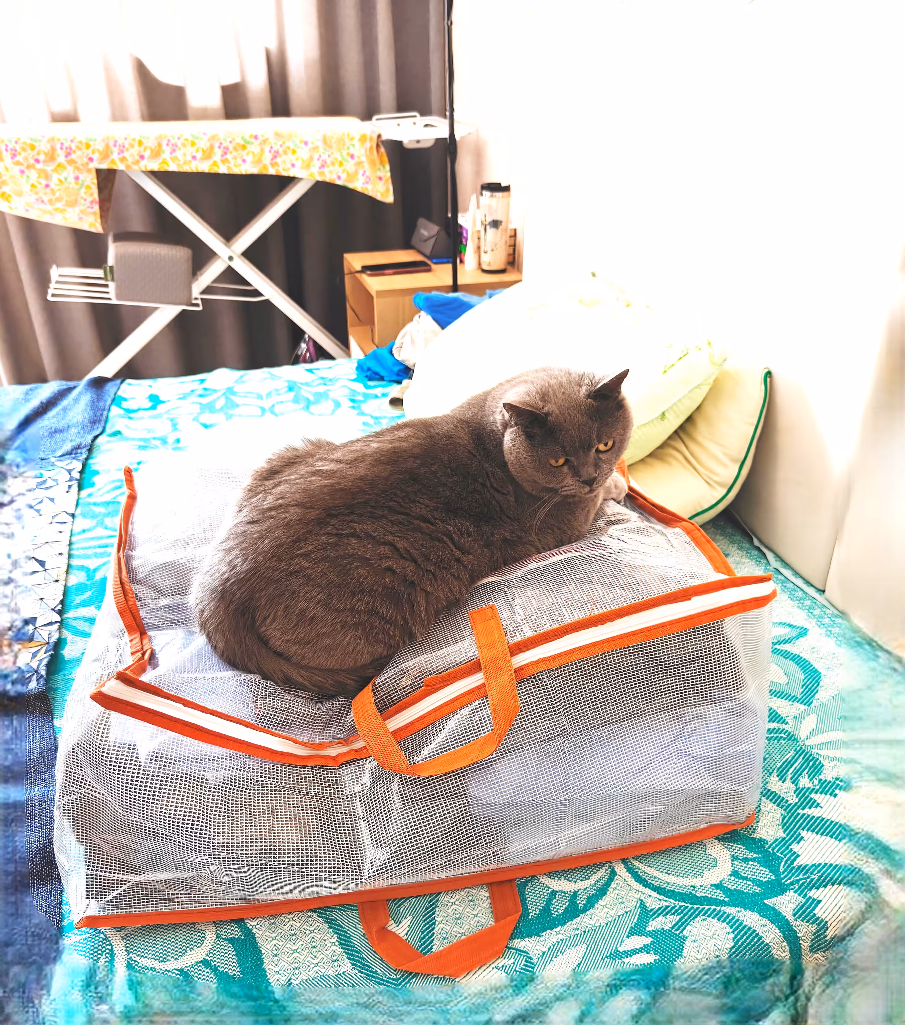 That's it! I'm leaving!