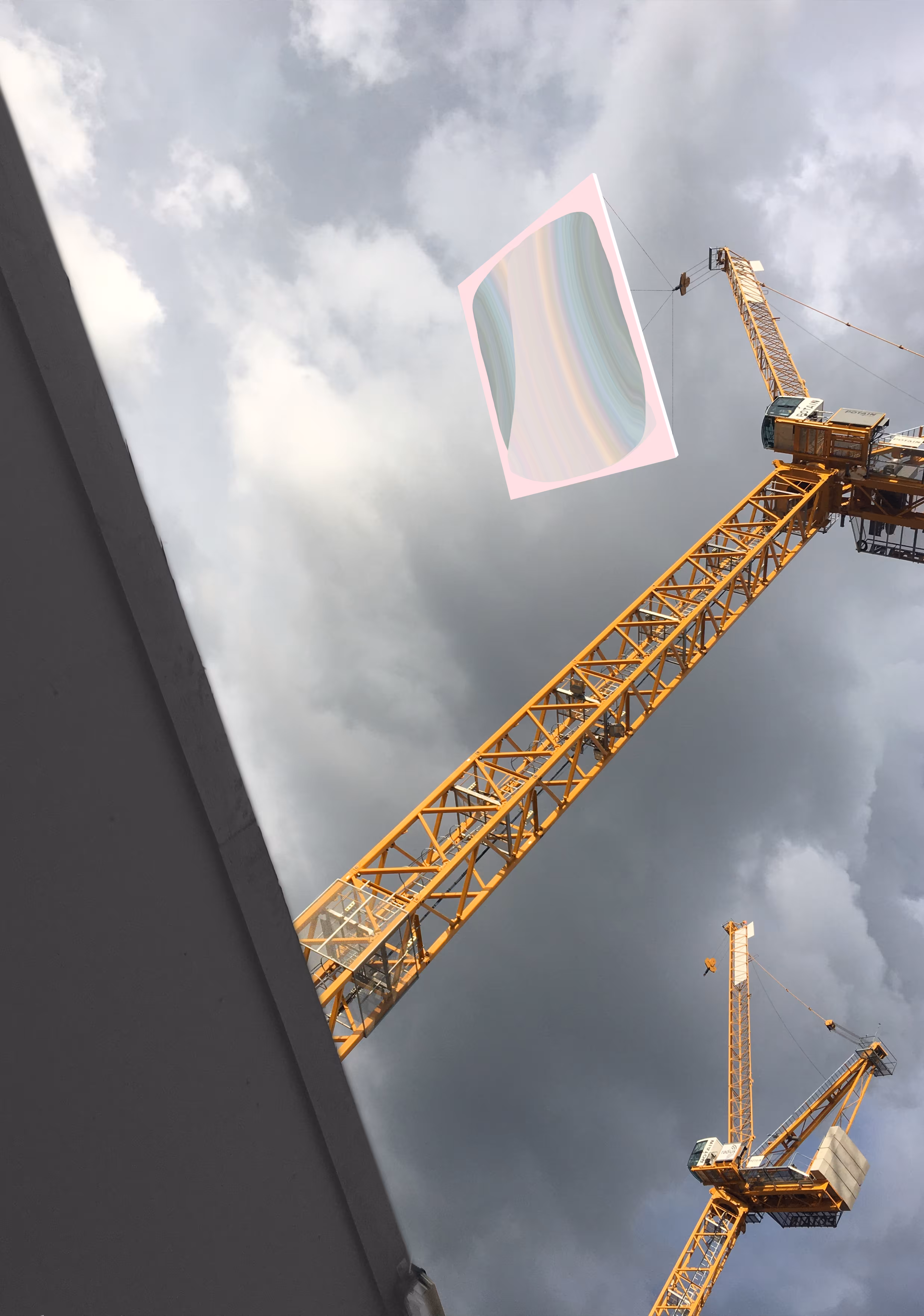Companion/Cranes