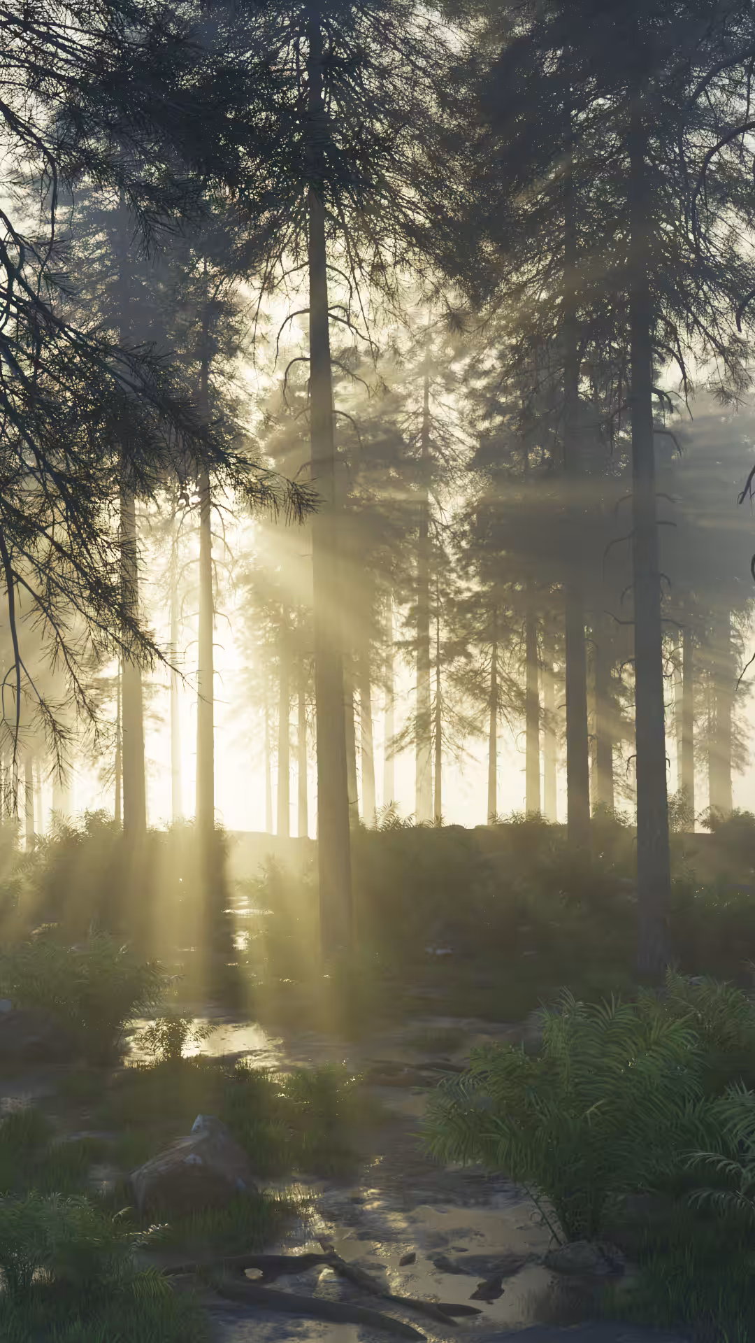 Forest