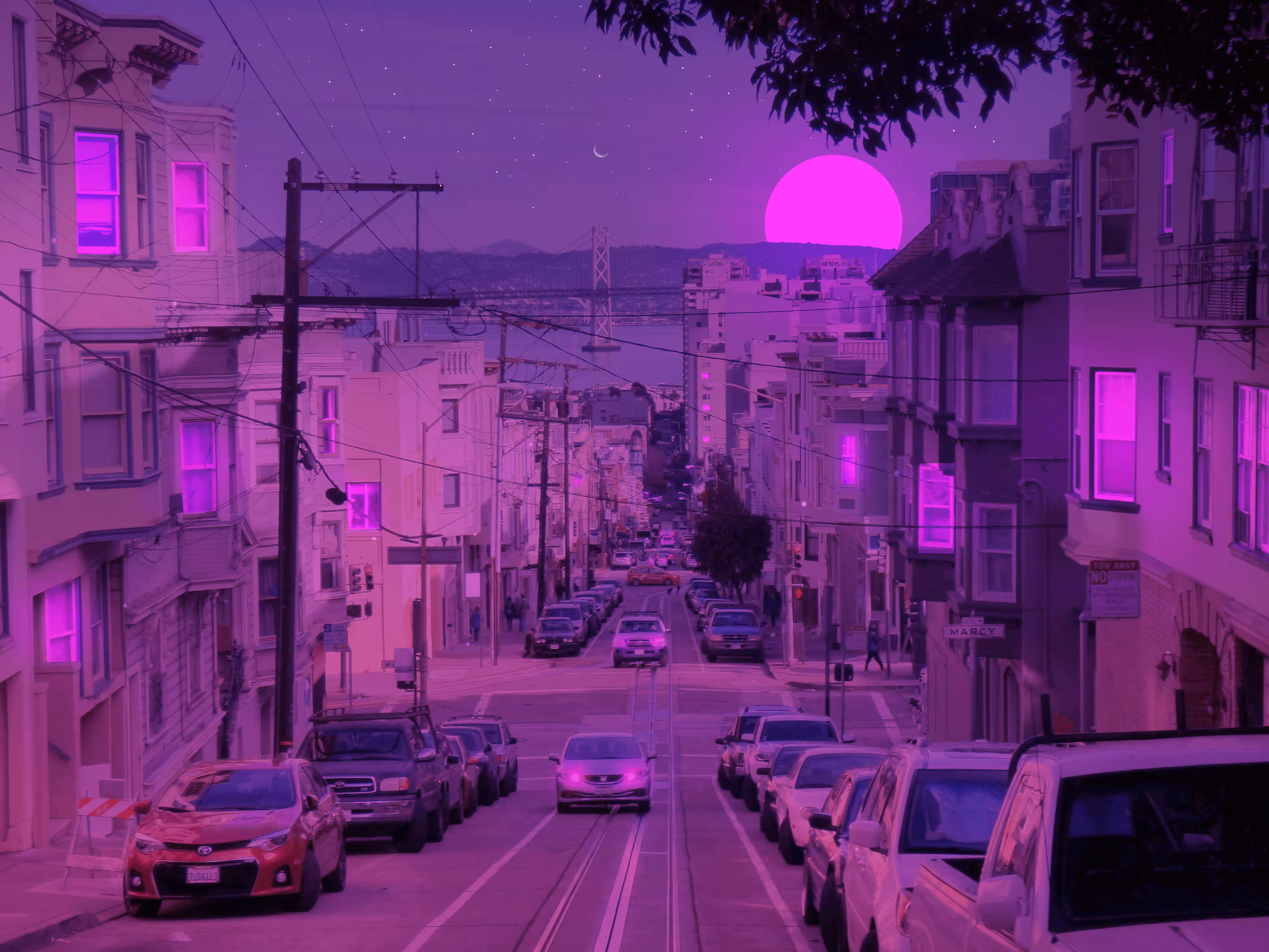 Pink & Purple World #31