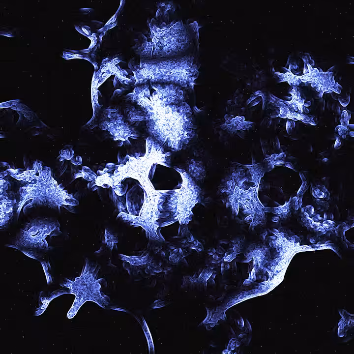 Neuron Network #005