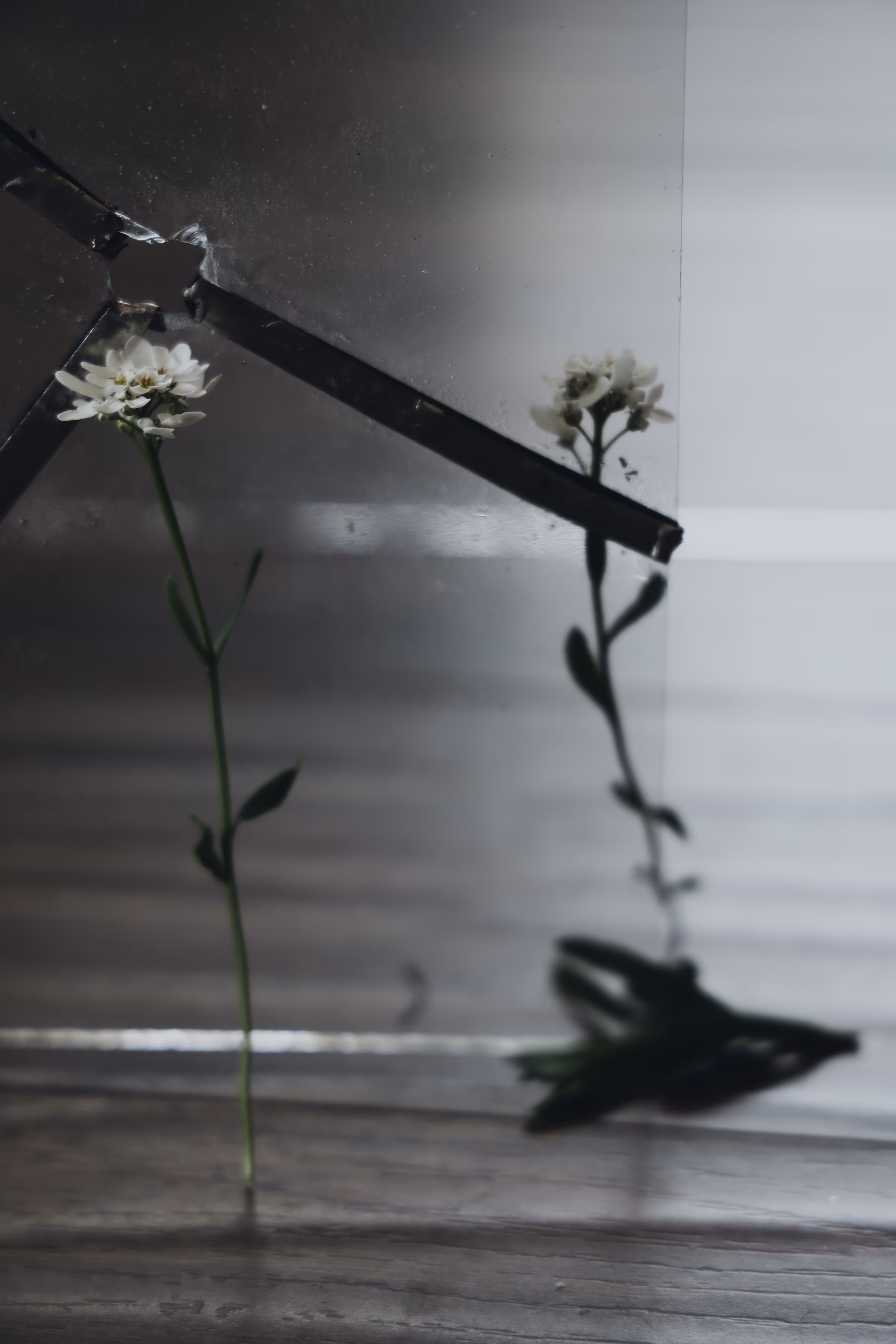 _lifetime