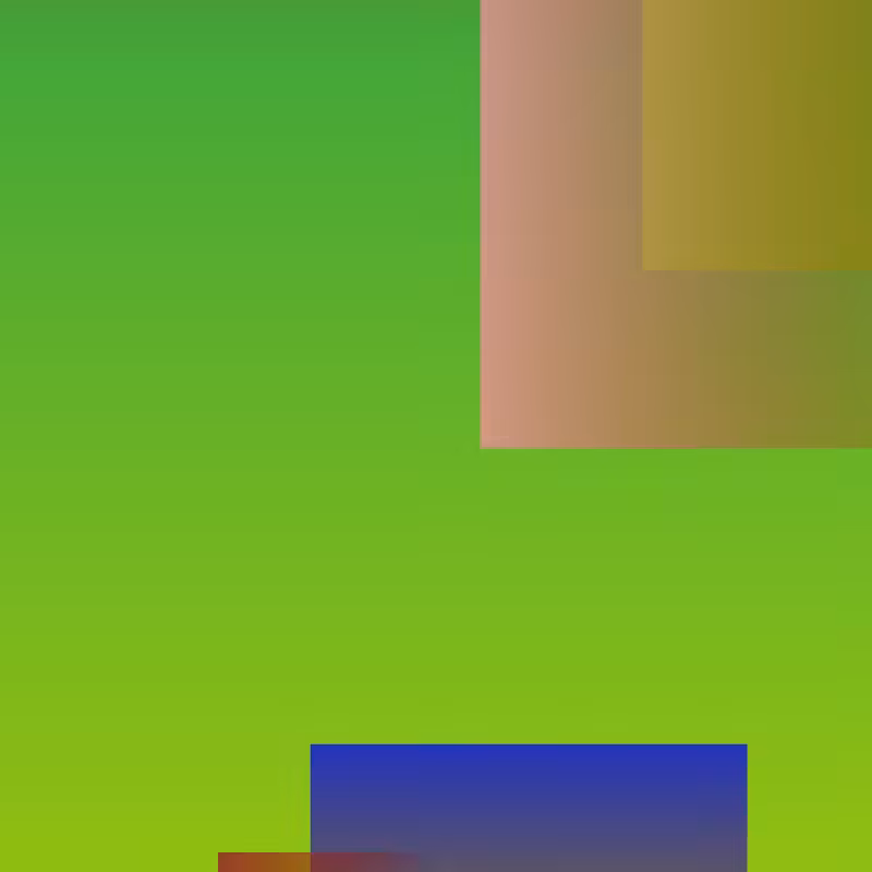 Rectangles #8